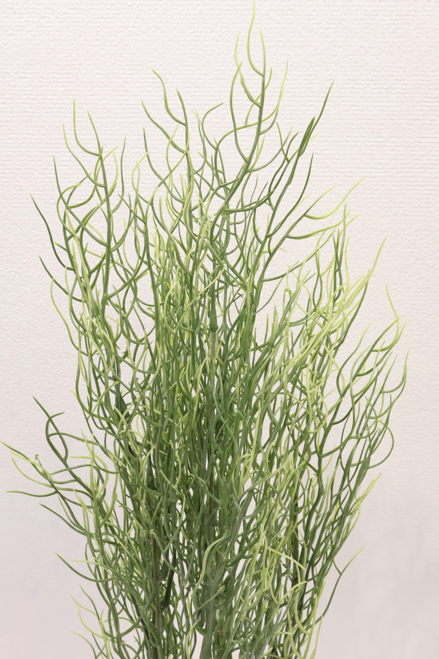 SPANISH MOSS BUSH (TILLANDSIA USNEOIDES) — 25" (64 cm)