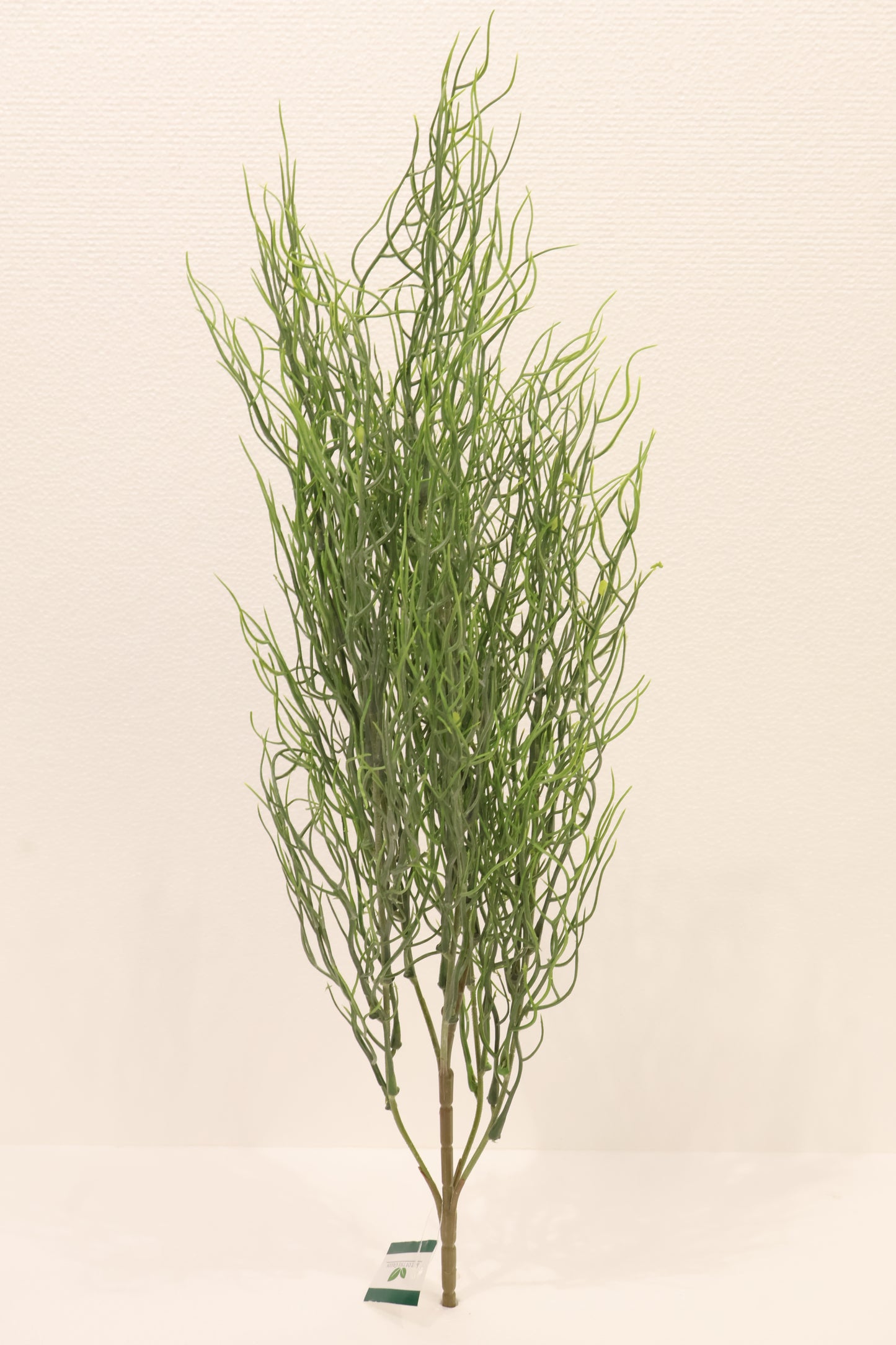 SPANISH MOSS BUSH (TILLANDSIA USNEOIDES) — 25" (64 cm)