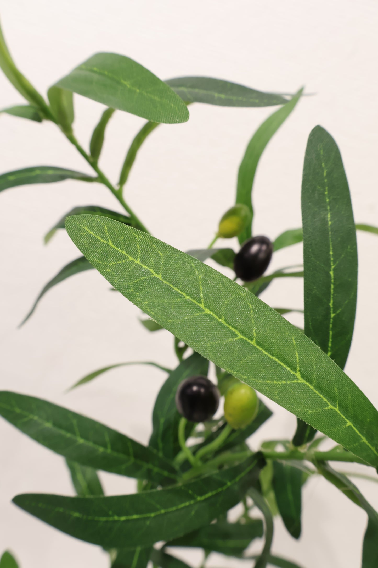 OLIVE SPRAY — 35.4" (90 cm)