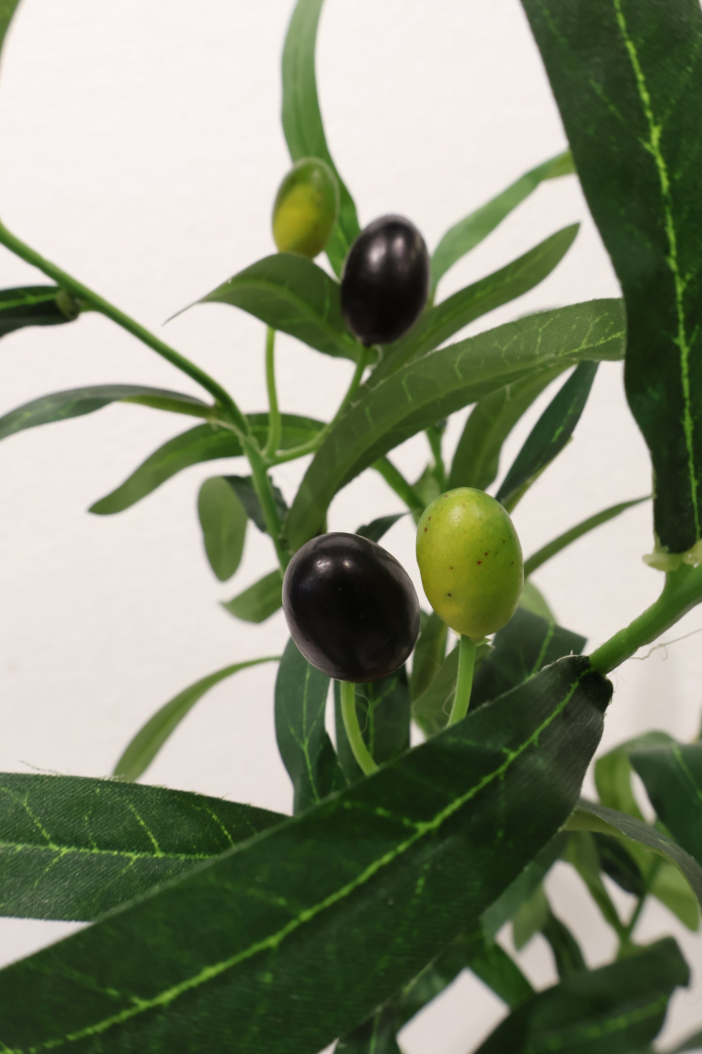 OLIVE SPRAY — 35.4" (90 cm)