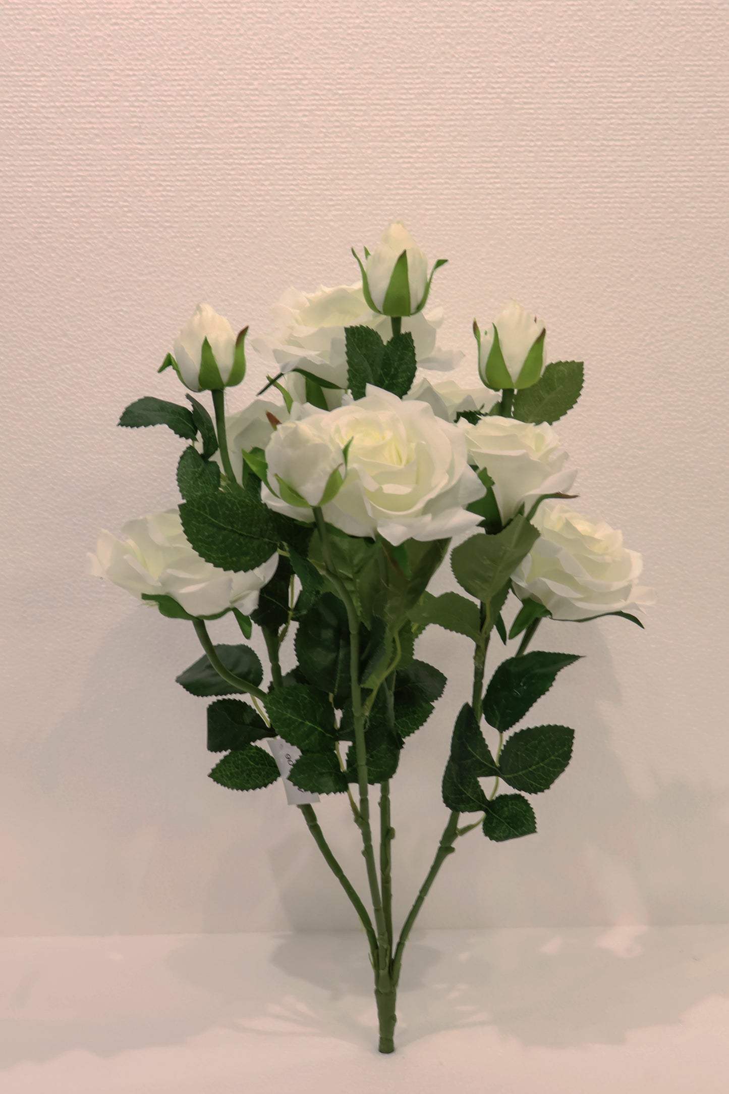 ROSE BUSH — 21.7" (55 cm)