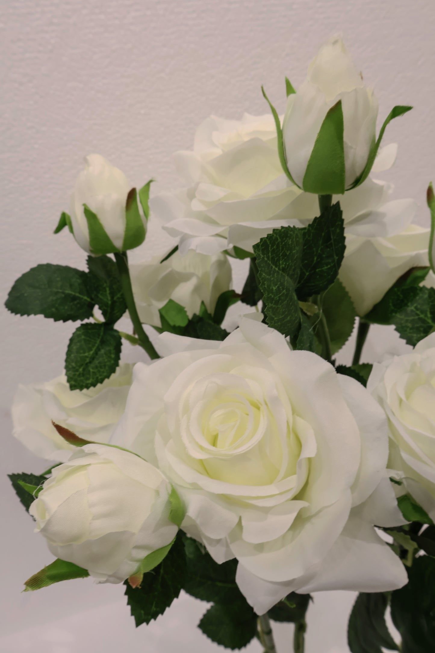 ROSE BUSH — 21.7" (55 cm)