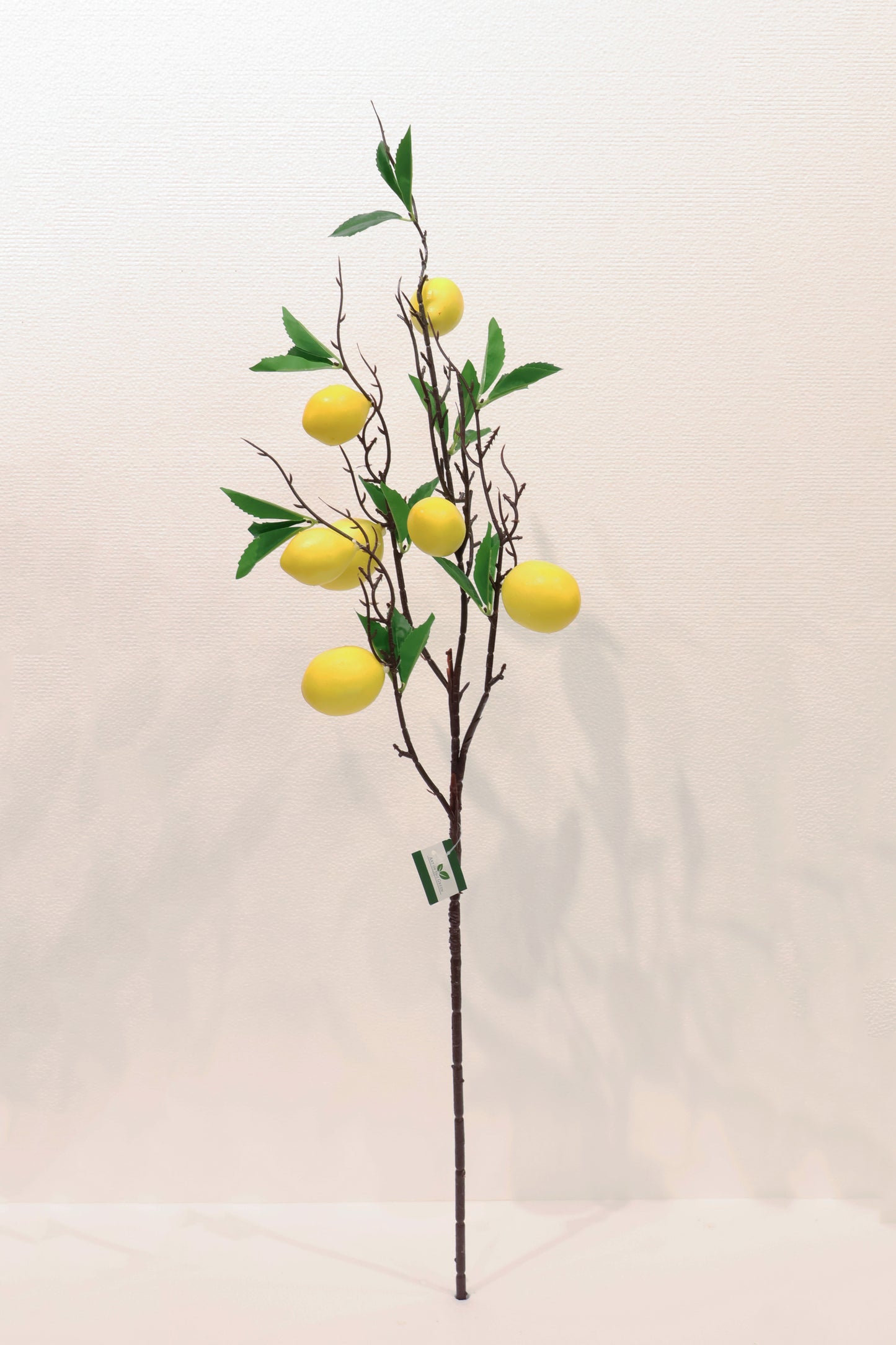 LEMON — 35.4" (90 cm)