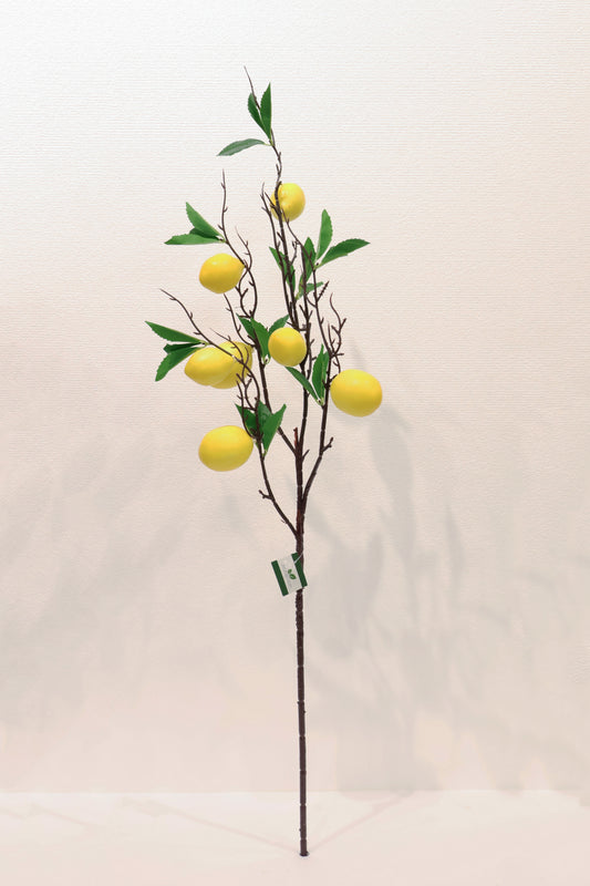 LEMON — 35.4" (90 cm)