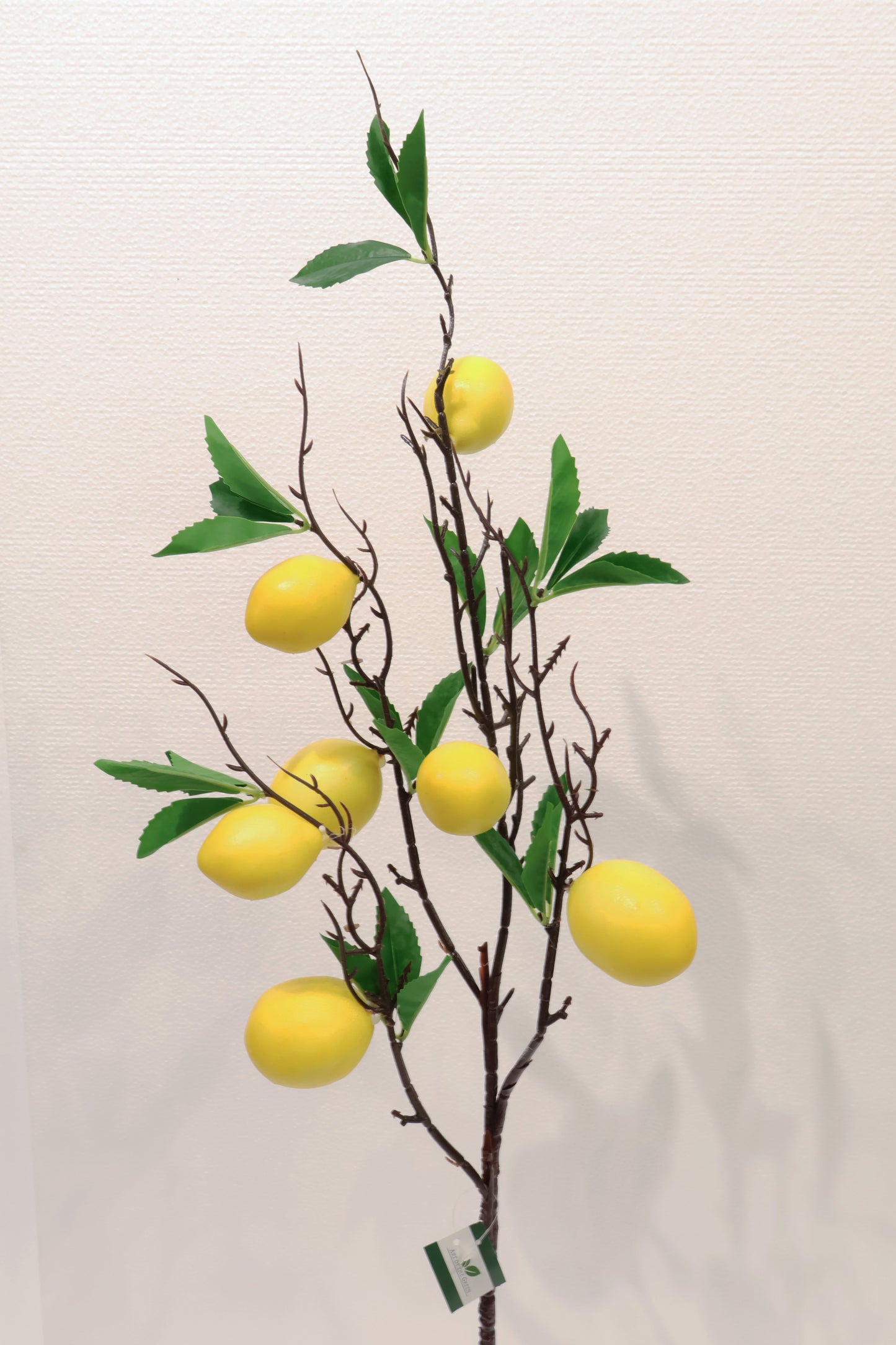 LEMON — 35.4" (90 cm)