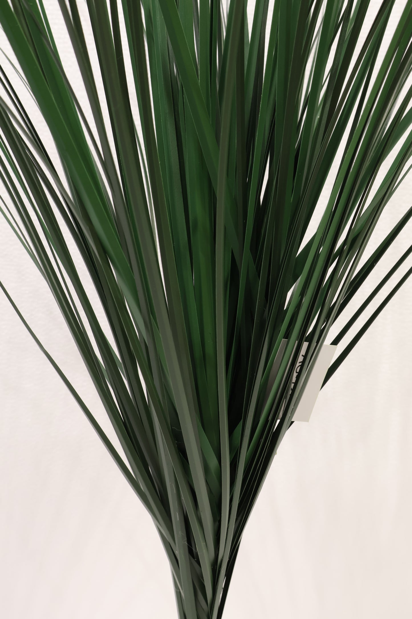 JUNCUS GRASS SPRAY — 32.3" (82 cm)