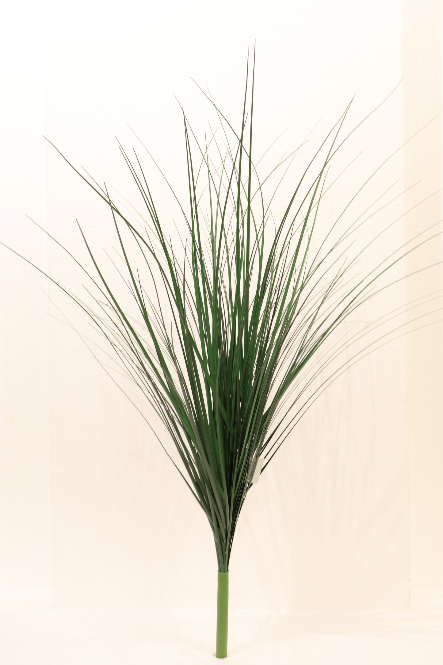 JUNCUS GRASS SPRAY — 32.3" (82 cm)