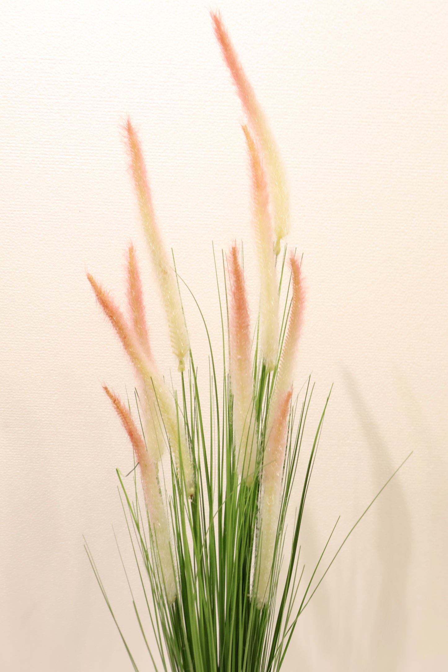 ORNAMENTAL GRASS STEM — 39.8" (101 cm)