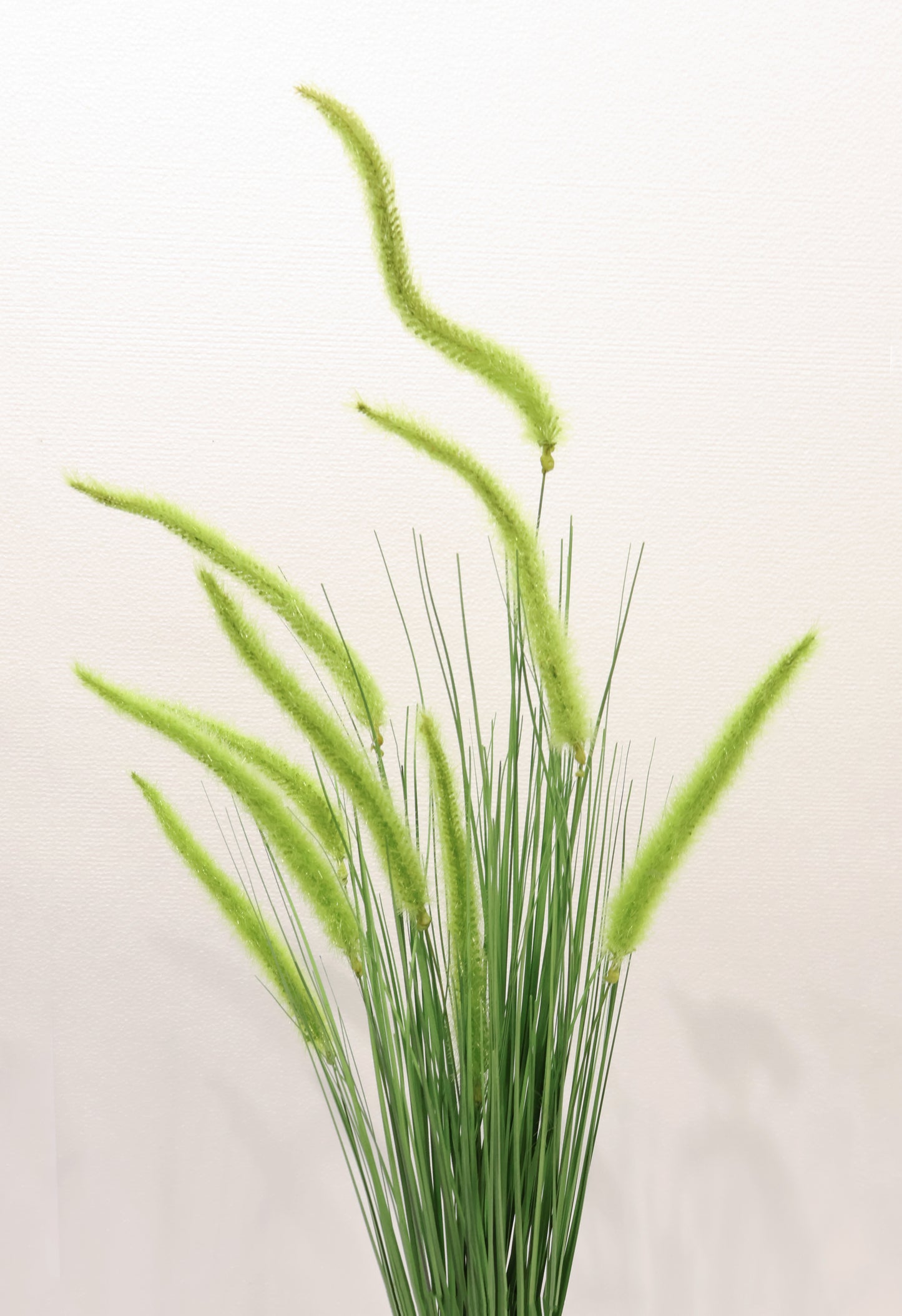 ORNAMENTAL GRASS STEM — 39.8" (101 cm)