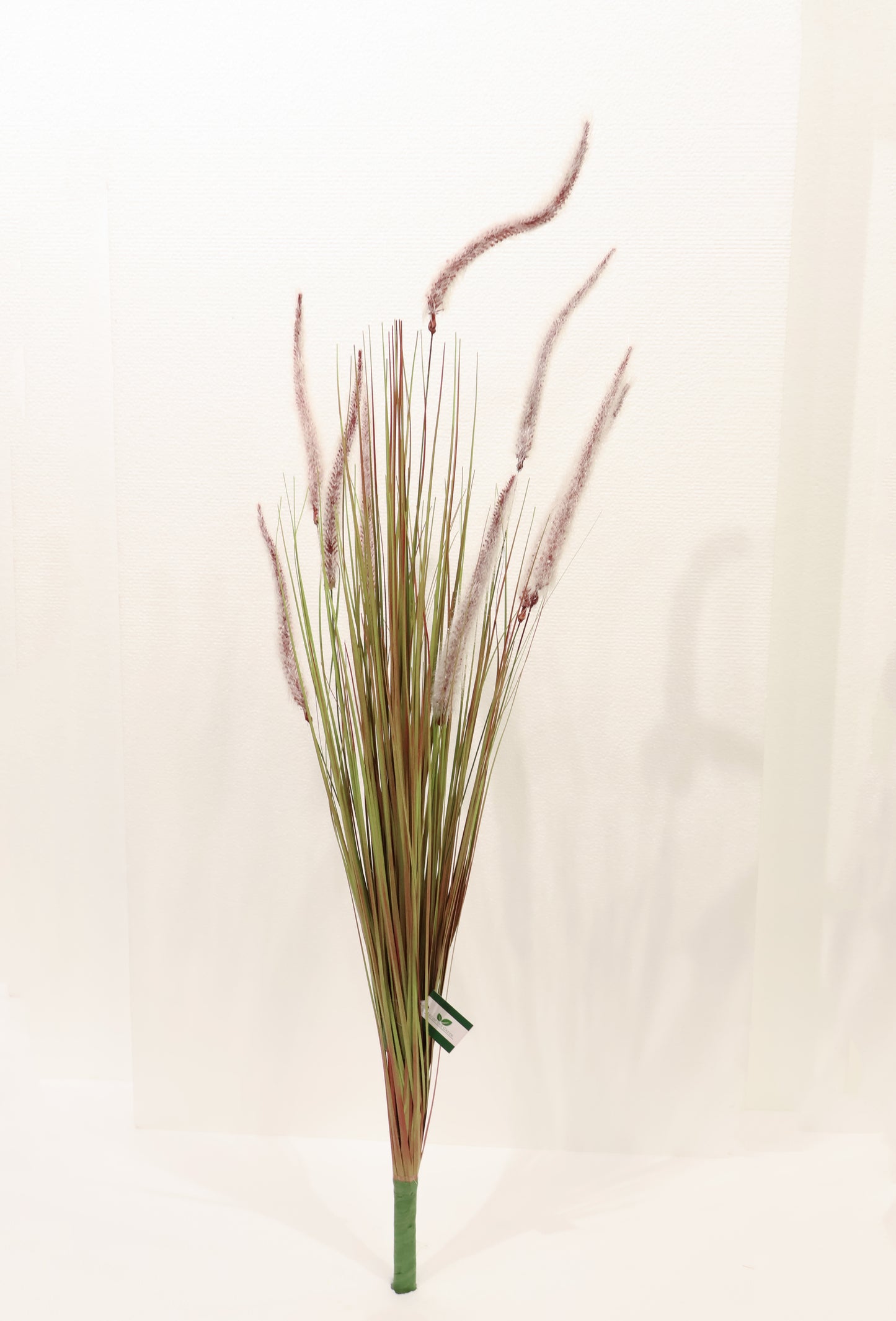 ORNAMENTAL GRASS STEM — 39.8" (101 cm)