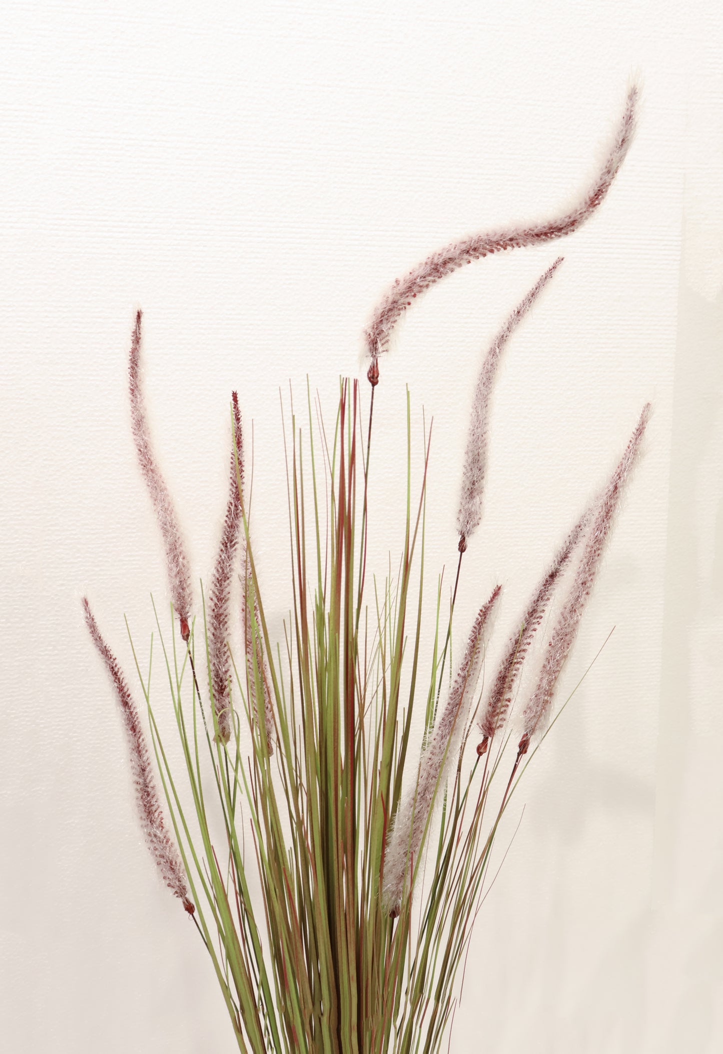 ORNAMENTAL GRASS STEM — 39.8" (101 cm)