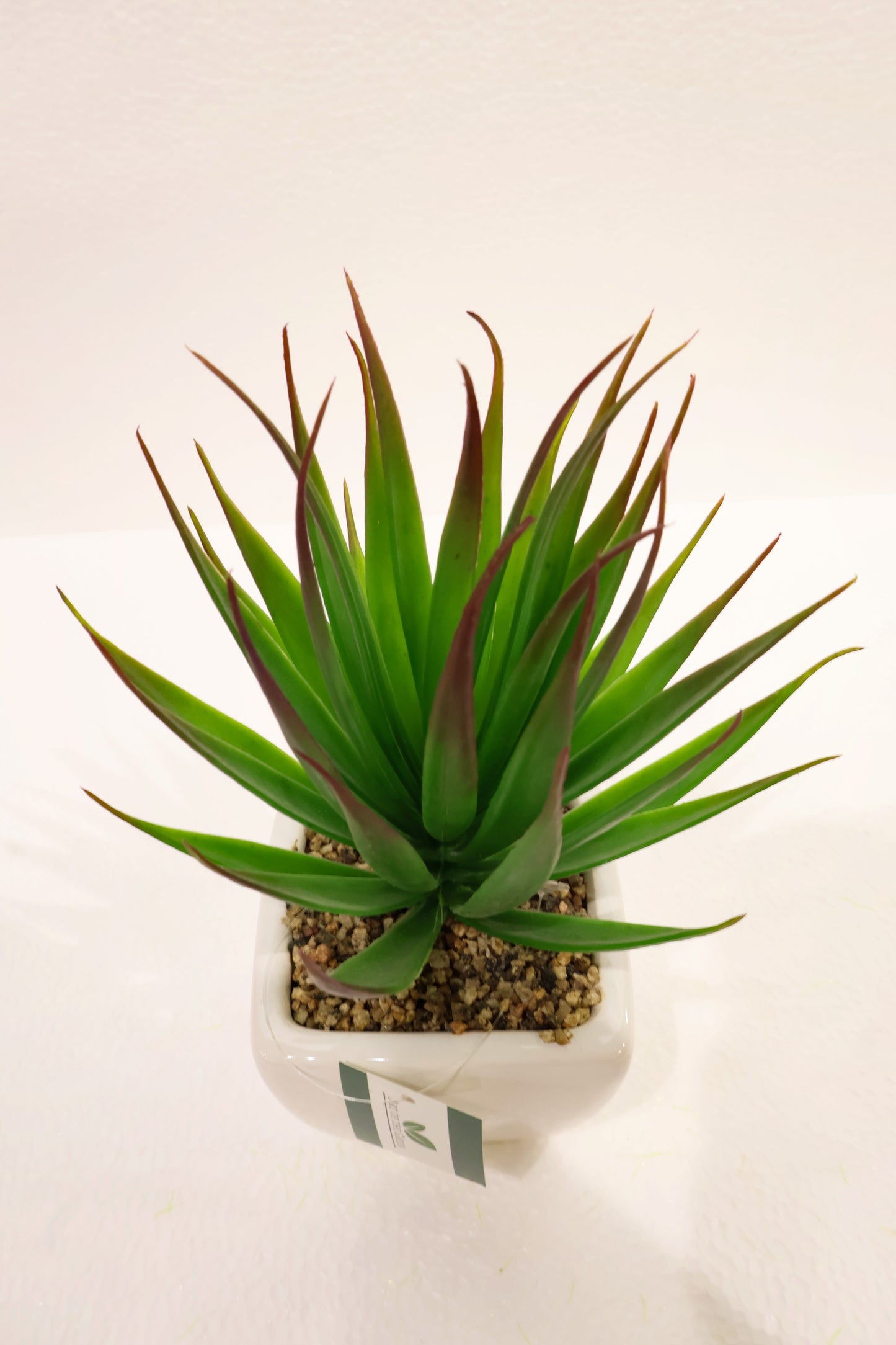ARTIFICIAL ALOE VERA PLANT — 7.1" × 4.7" (18 × 12 cm)