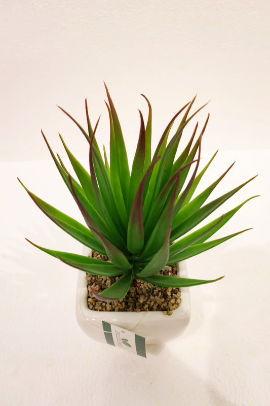 ARTIFICIAL ALOE VERA PLANT — 7.1" × 4.7" (18 × 12 cm)