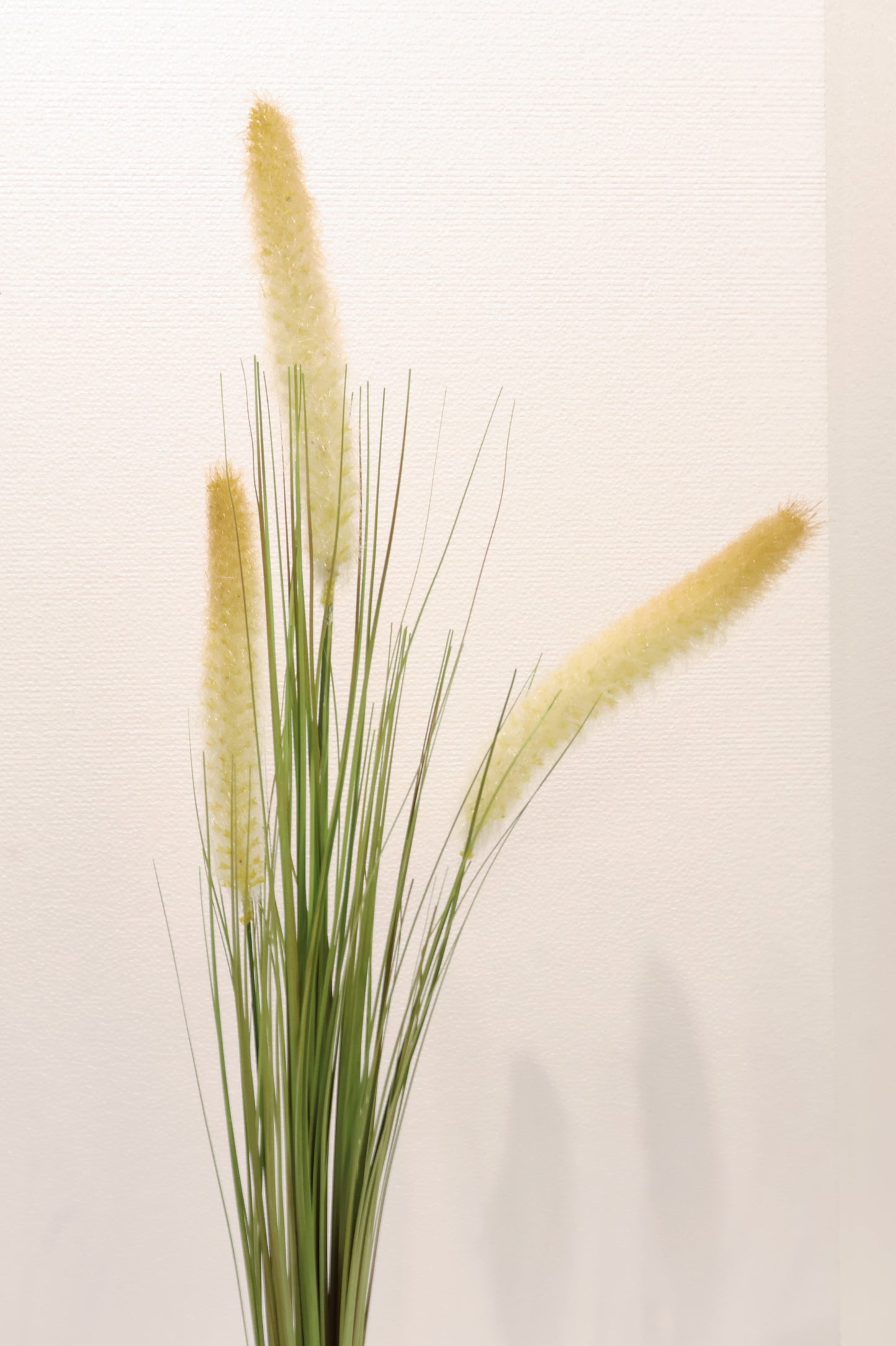 ORNAMENTAL GRASS STEM — 33.9" (86 cm)