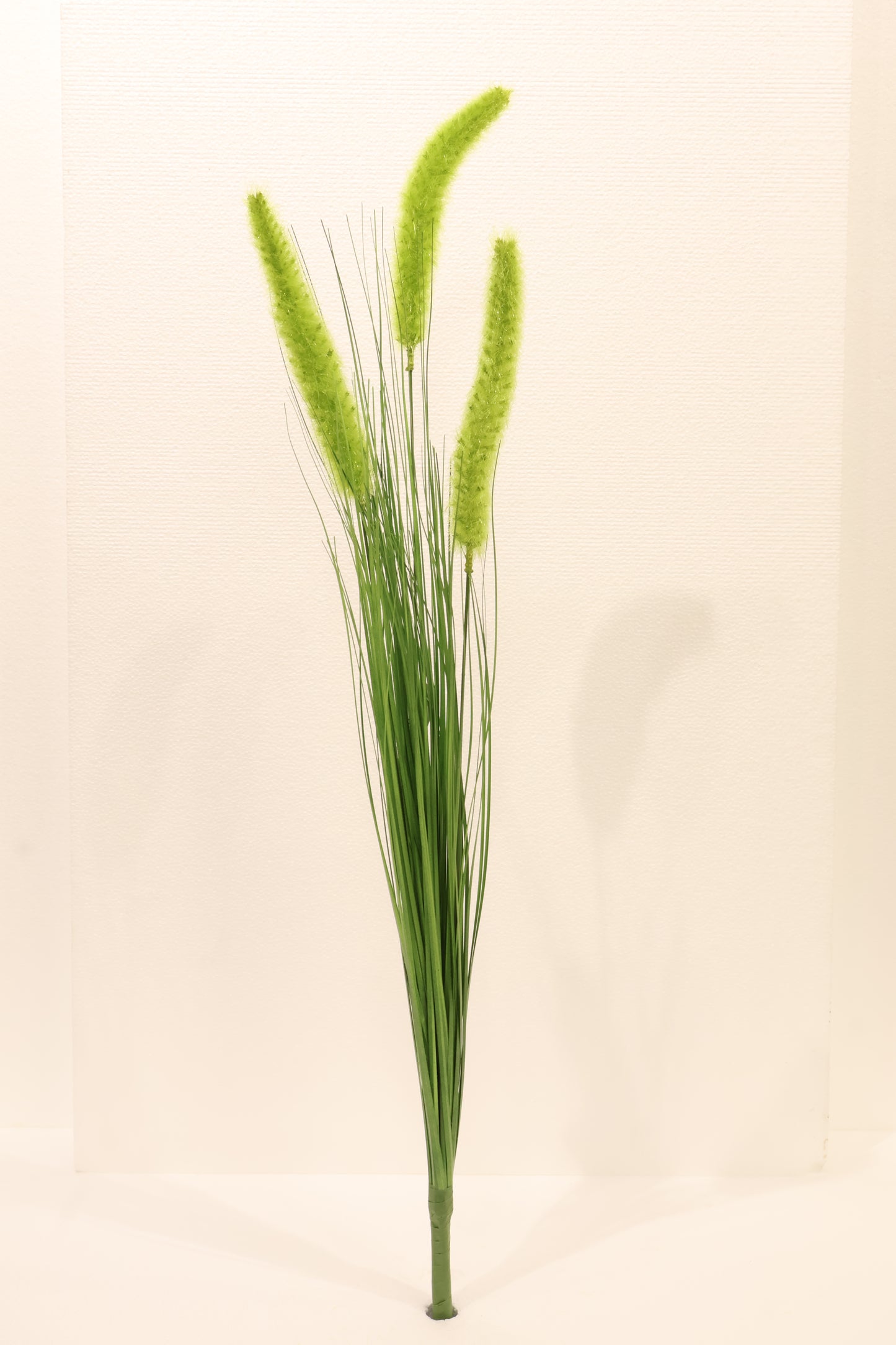 ORNAMENTAL GRASS STEM — 33.9" (86 cm)