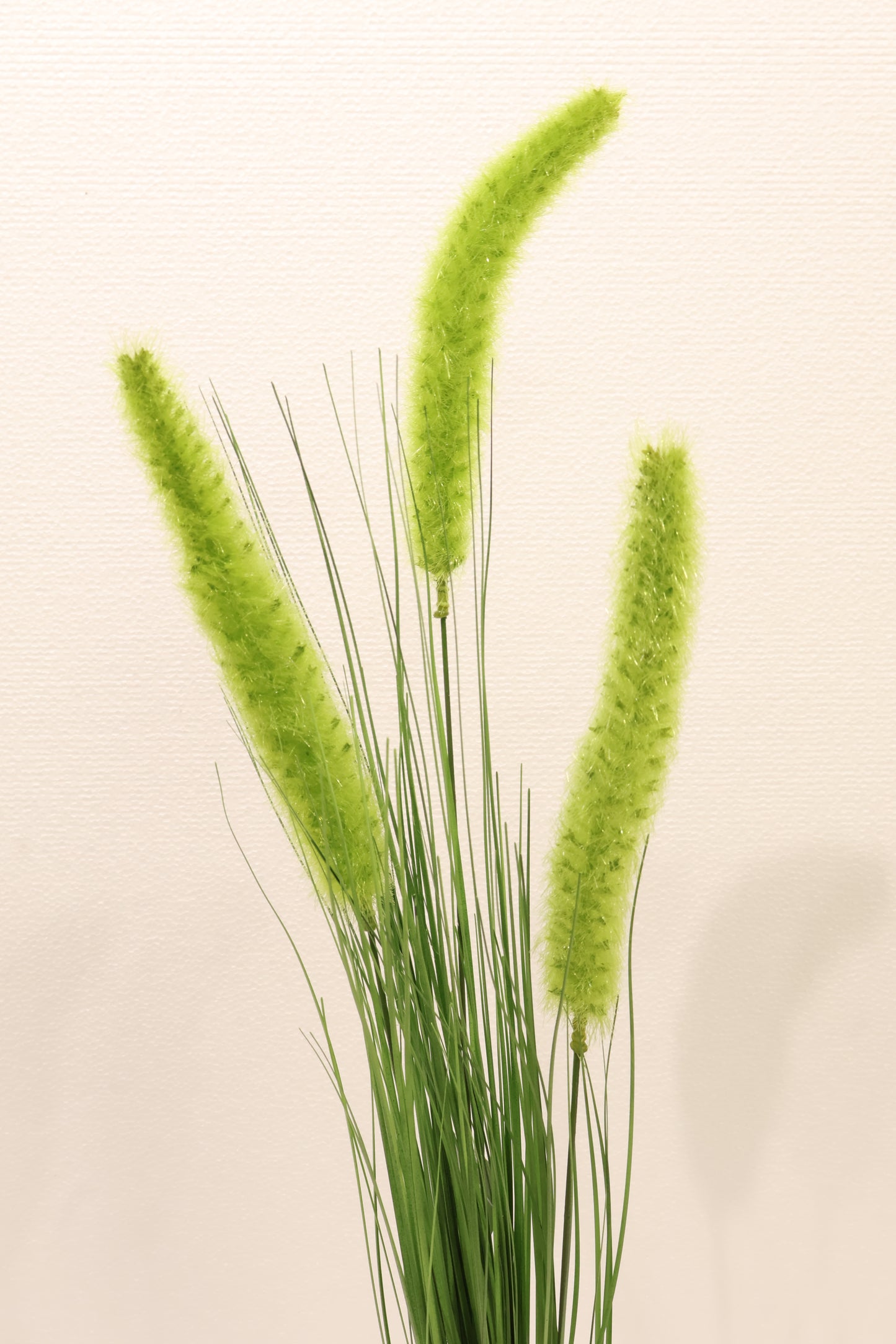 ORNAMENTAL GRASS STEM — 33.9" (86 cm)