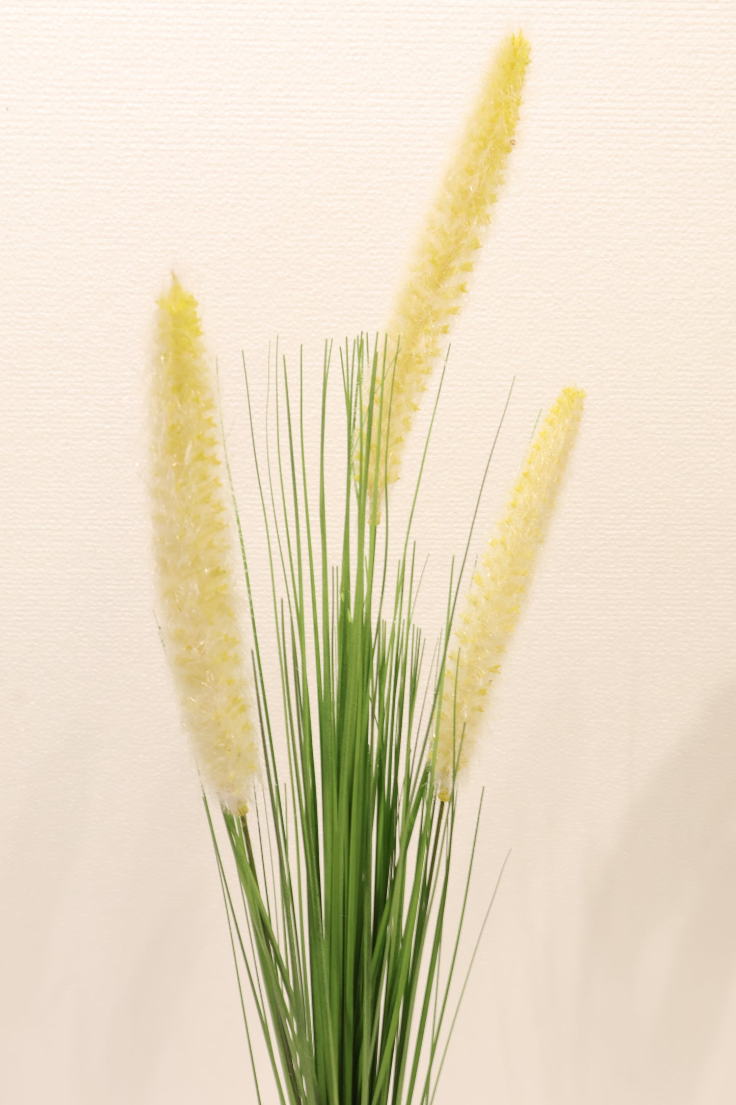 ORNAMENTAL GRASS STEM — 33.9" (86 cm)