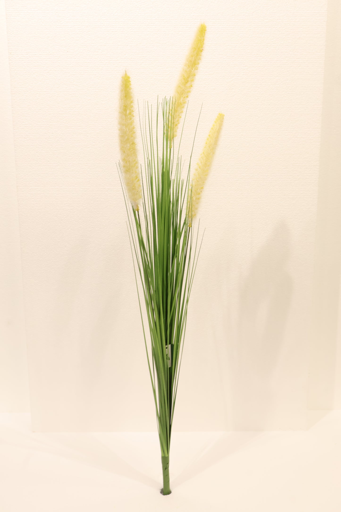 ORNAMENTAL GRASS STEM — 33.9" (86 cm)