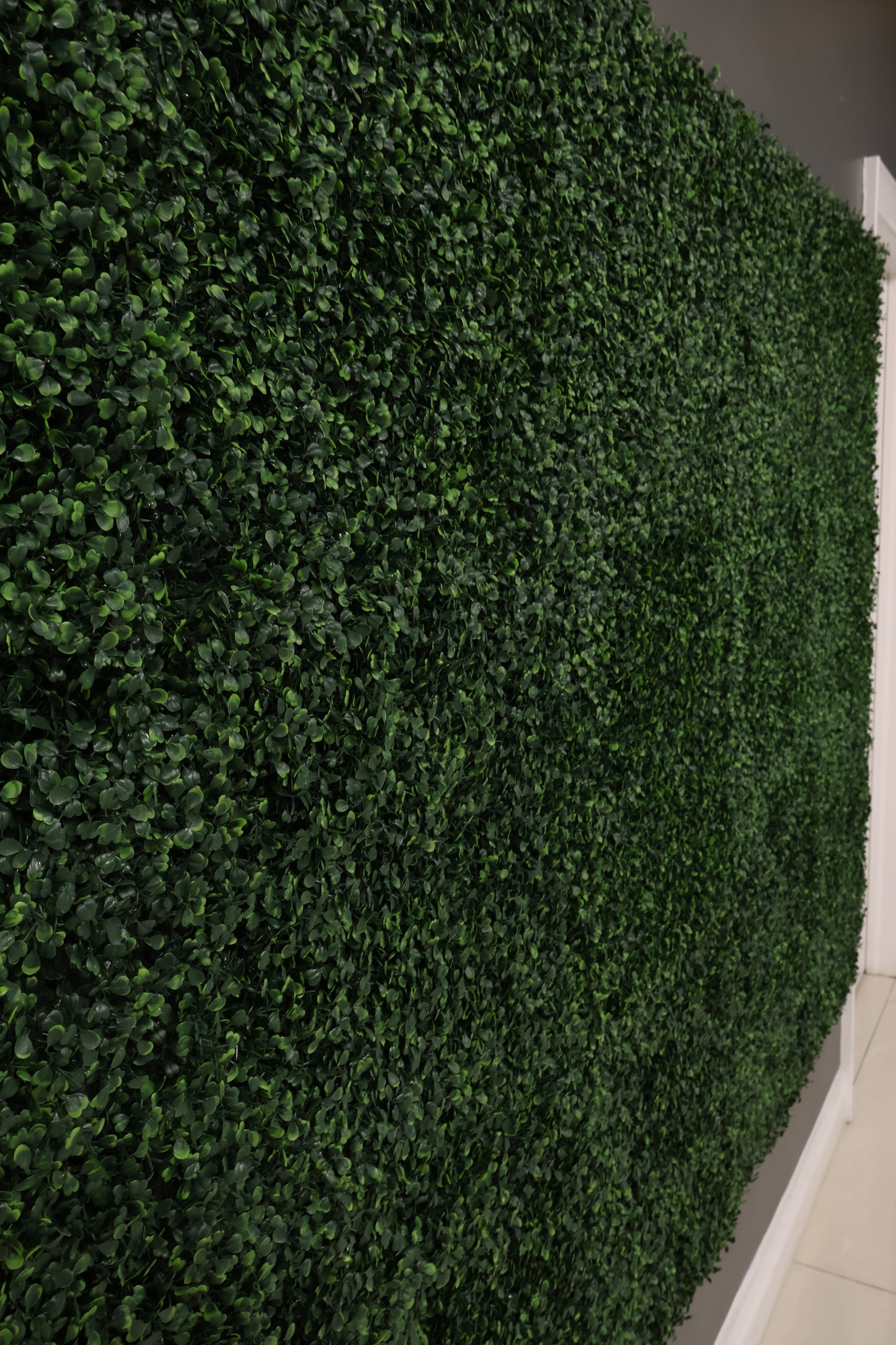 GREEN WALL — BOXWOOD PANEL — 20" × 20" (51 × 51 cm)