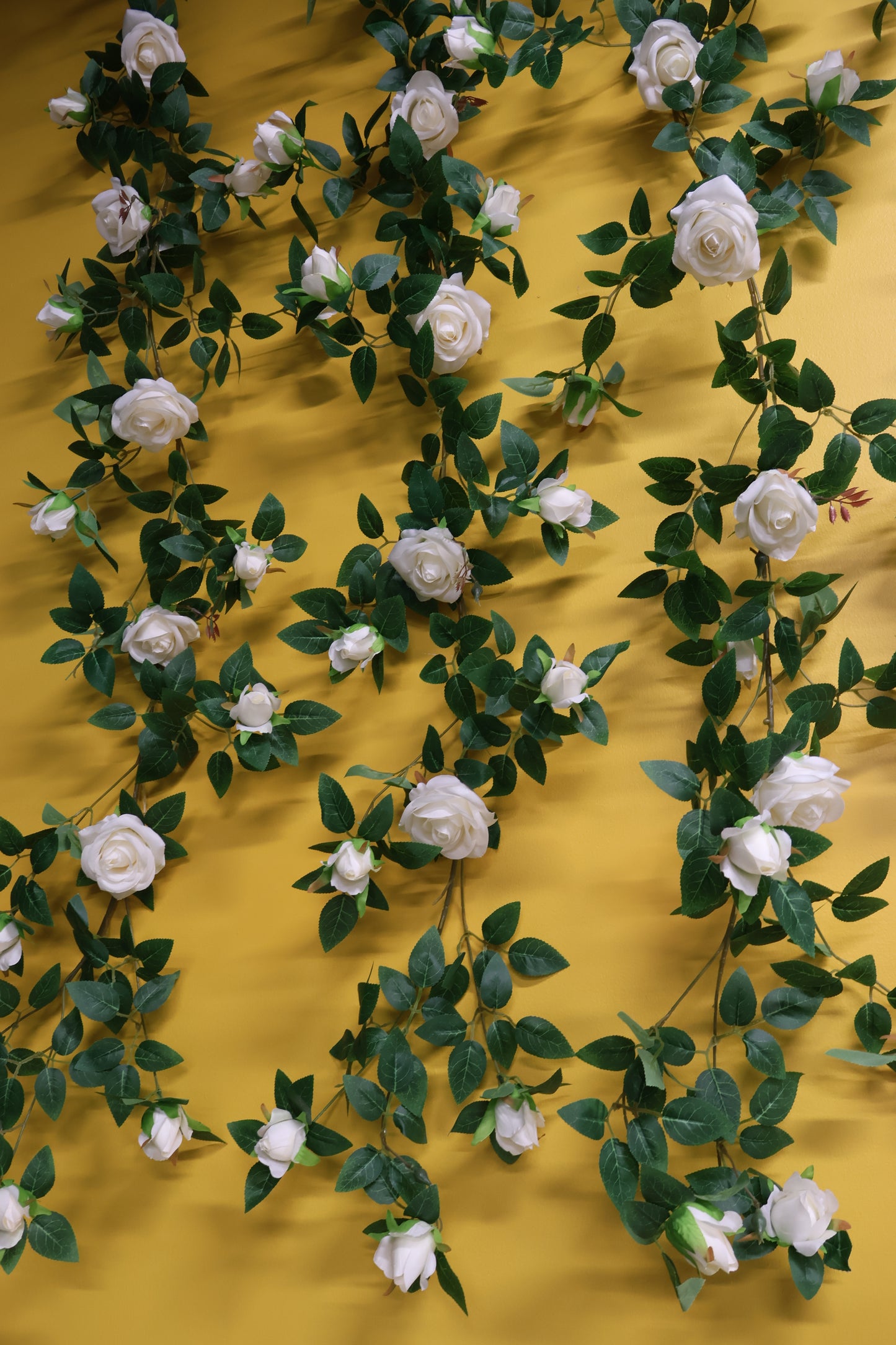 ROSE VINE — 74.0" (188 cm)