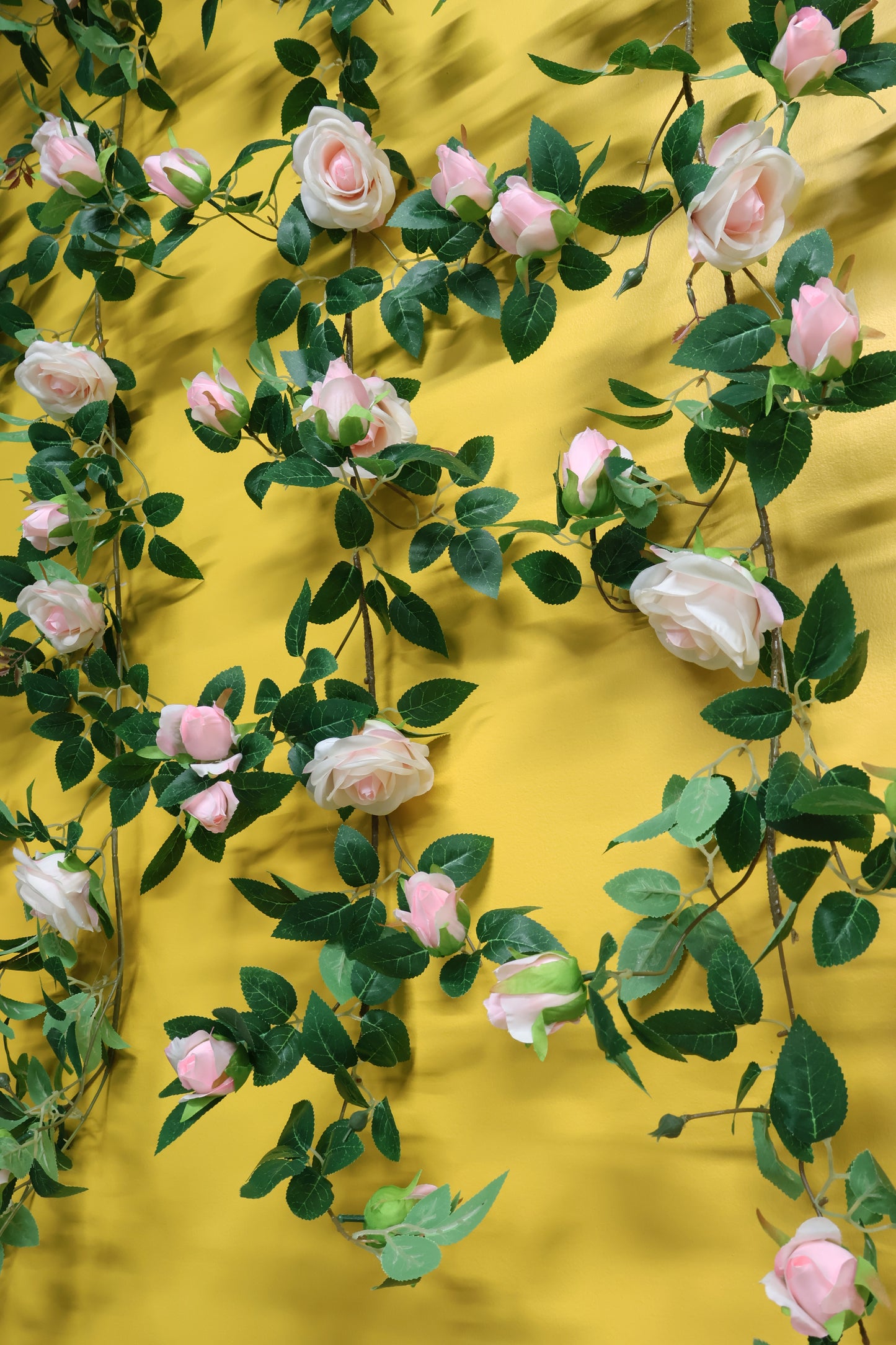 ROSE VINE — 74.0" (188 cm)