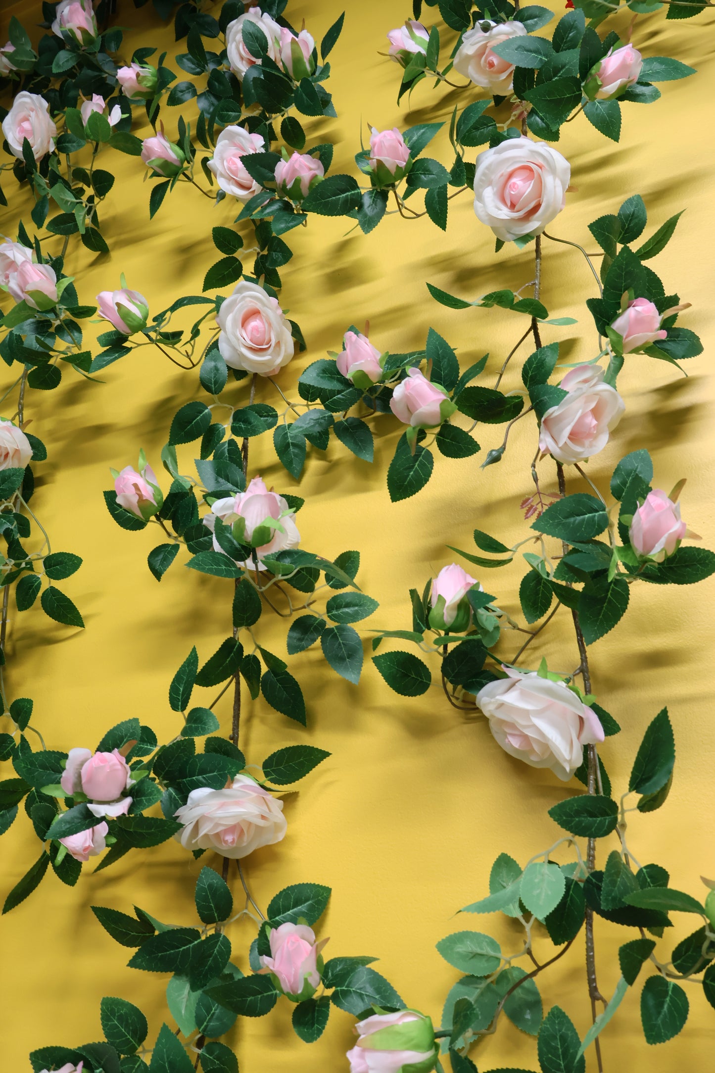 ROSE VINE — 74.0" (188 cm)