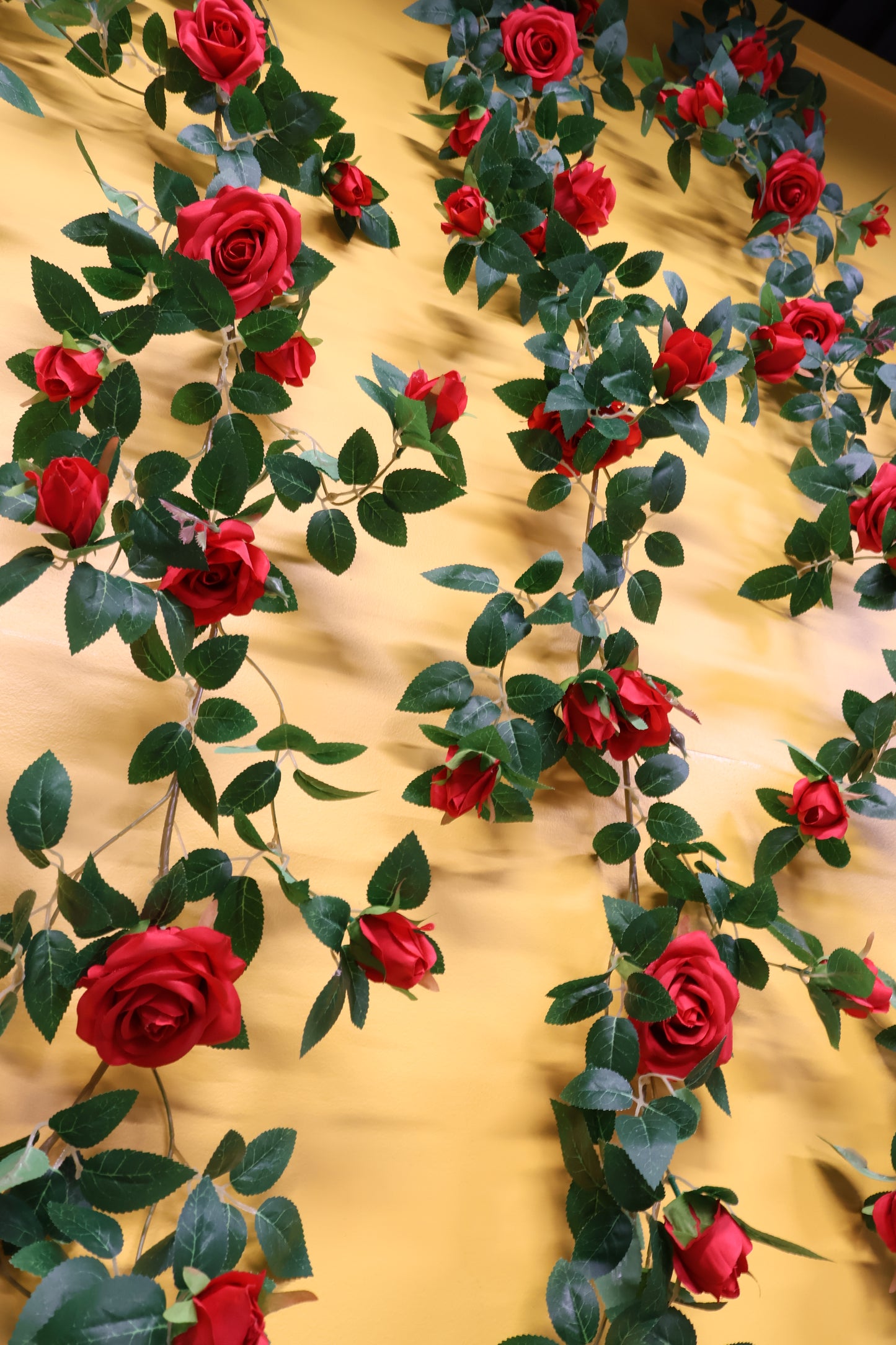 ROSE VINE — 74.0" (188 cm)