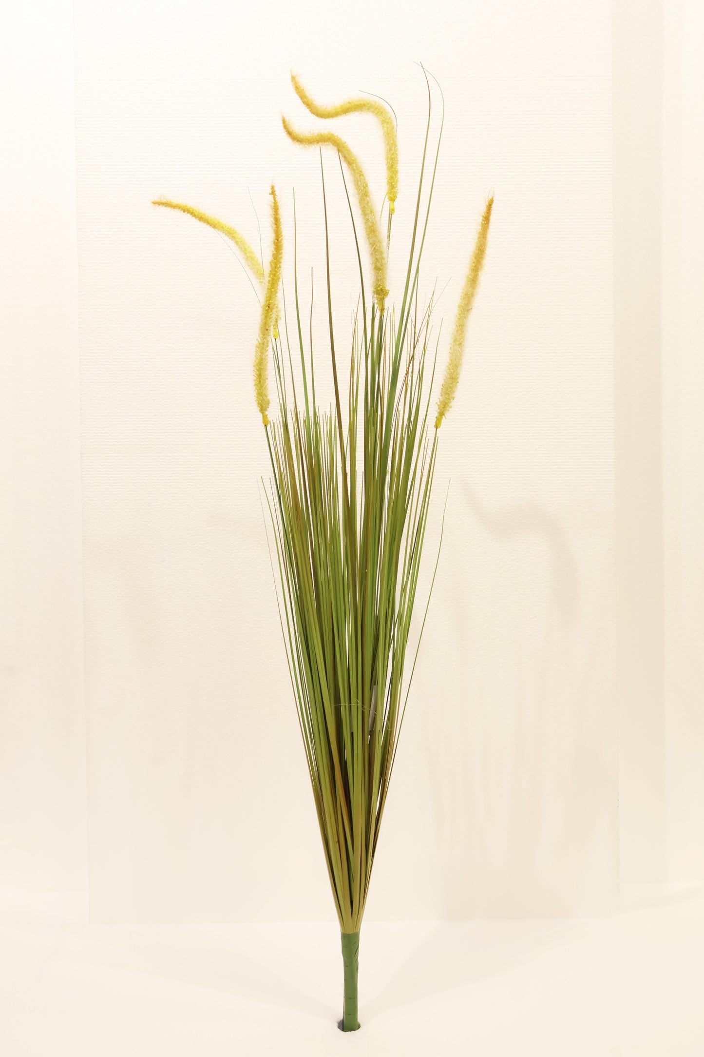 ORNAMENTAL GRASS STEM — 40.2" (102 cm)