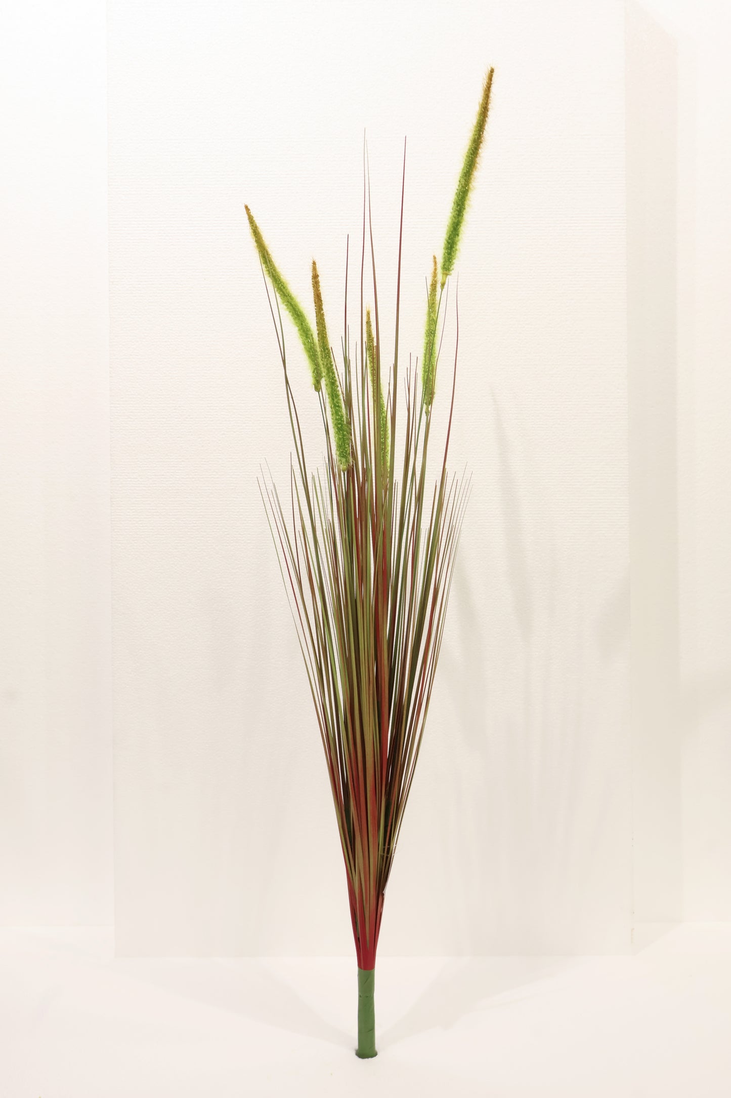 ORNAMENTAL GRASS STEM — 40.2" (102 cm)