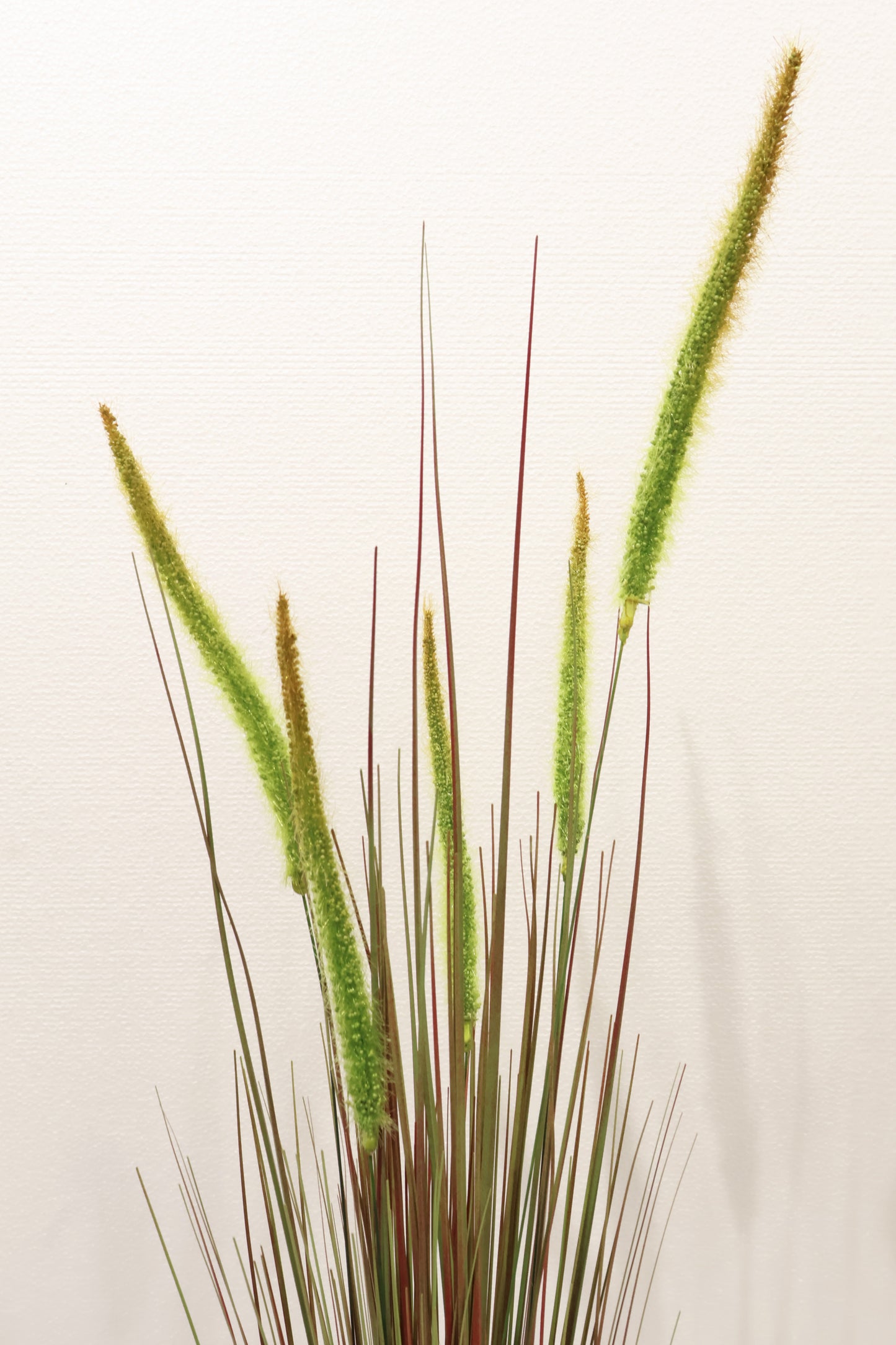 ORNAMENTAL GRASS STEM — 40.2" (102 cm)