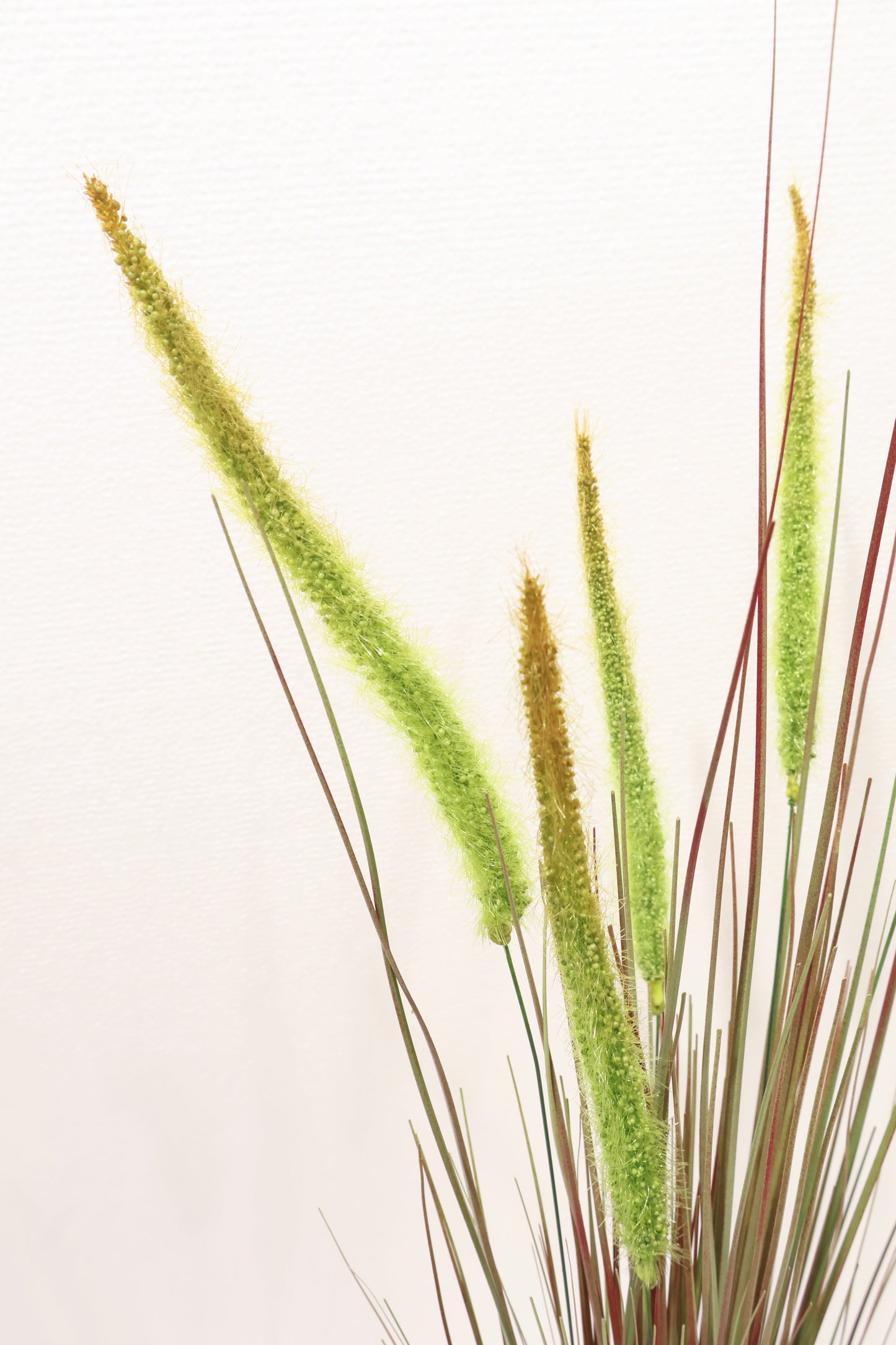 ORNAMENTAL GRASS STEM — 40.2" (102 cm)