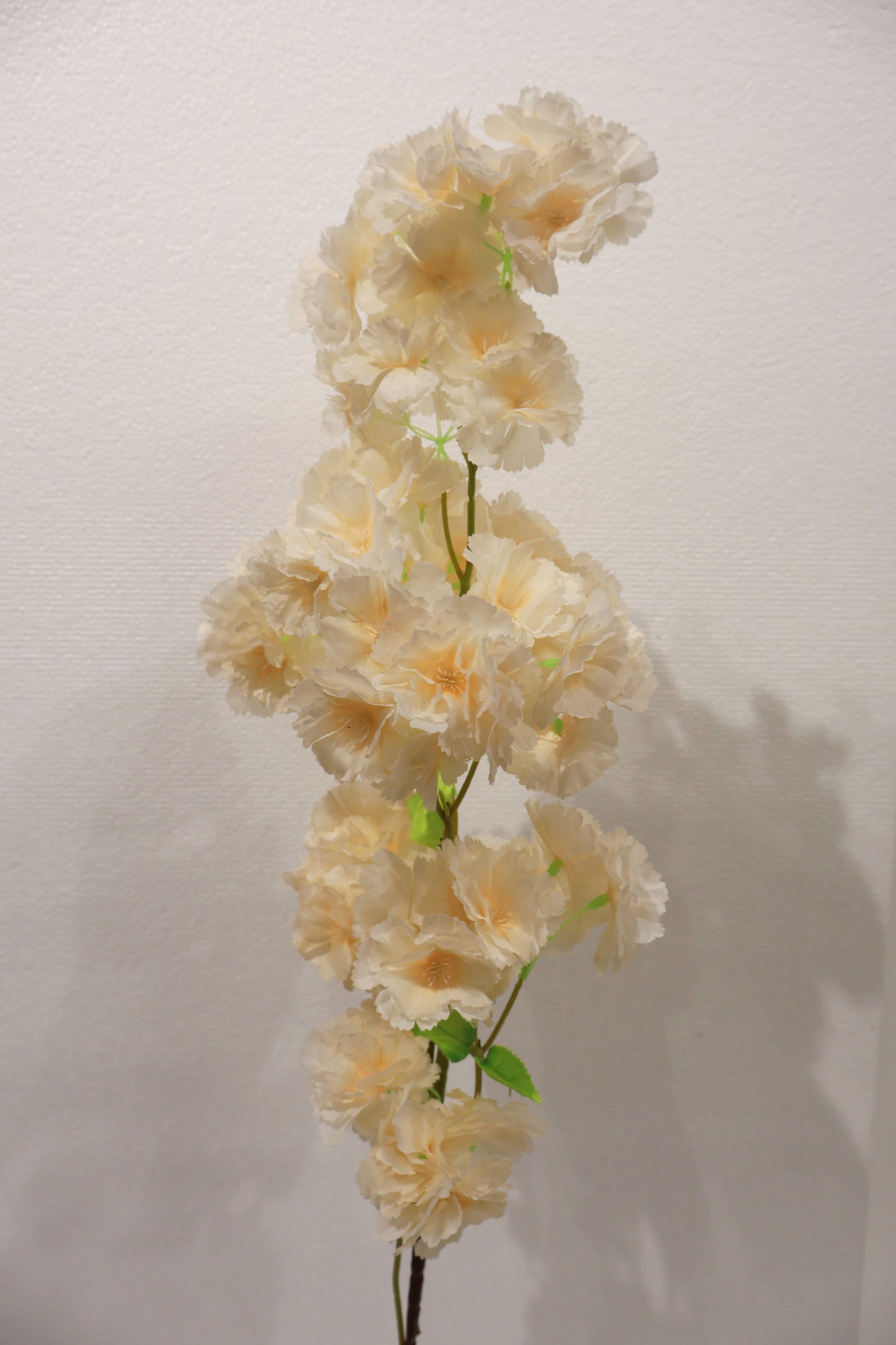 CHERRY BLOSSOM — 37.8" (96 cm)