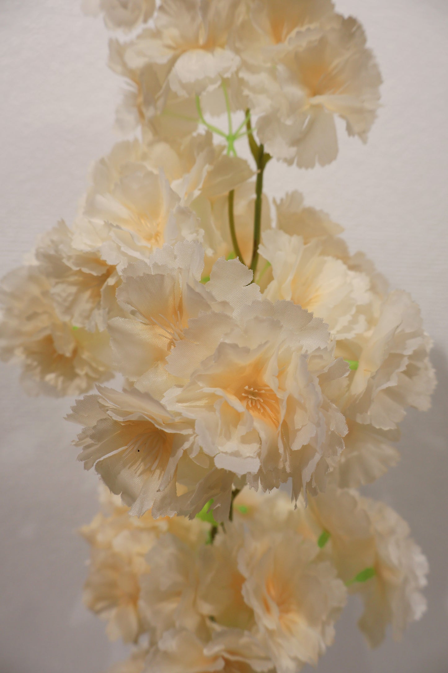 CHERRY BLOSSOM — 37.8" (96 cm)