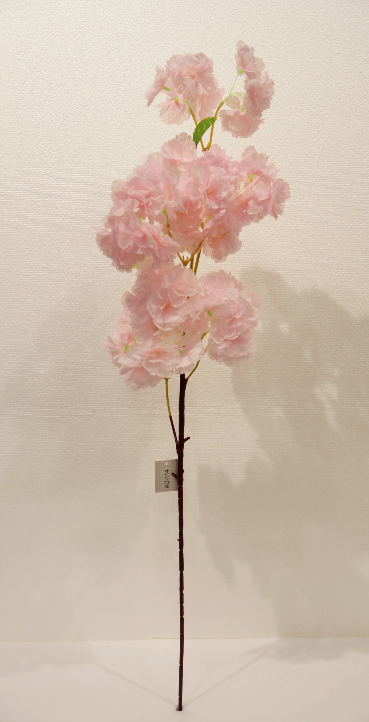 CHERRY BLOSSOM — 37.8" (96 cm)