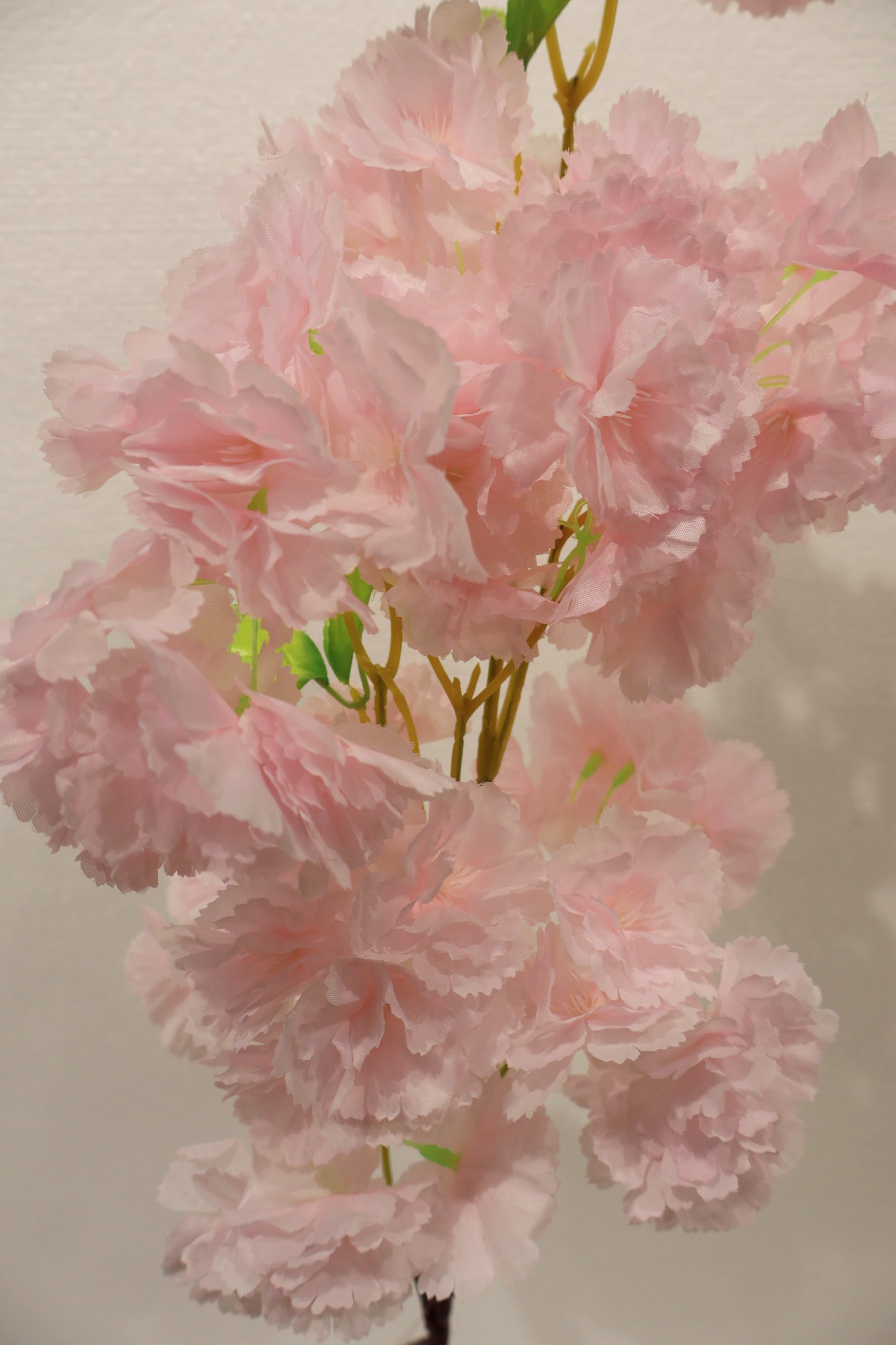 CHERRY BLOSSOM — 37.8" (96 cm)