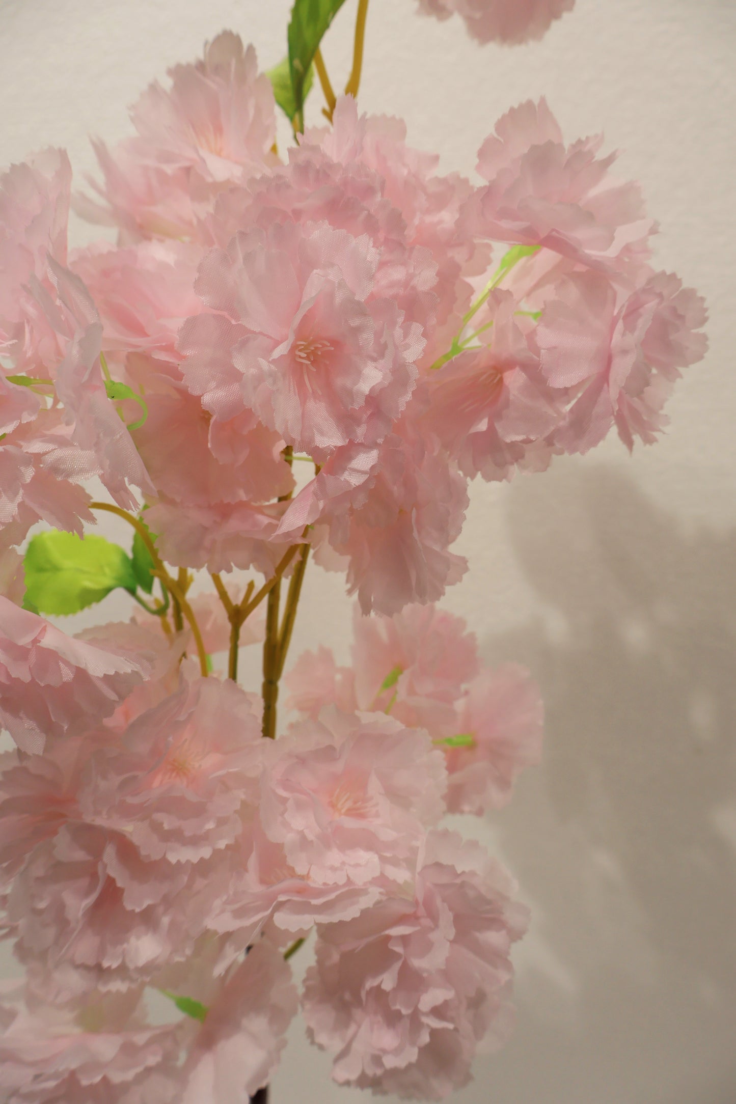 CHERRY BLOSSOM — 37.8" (96 cm)
