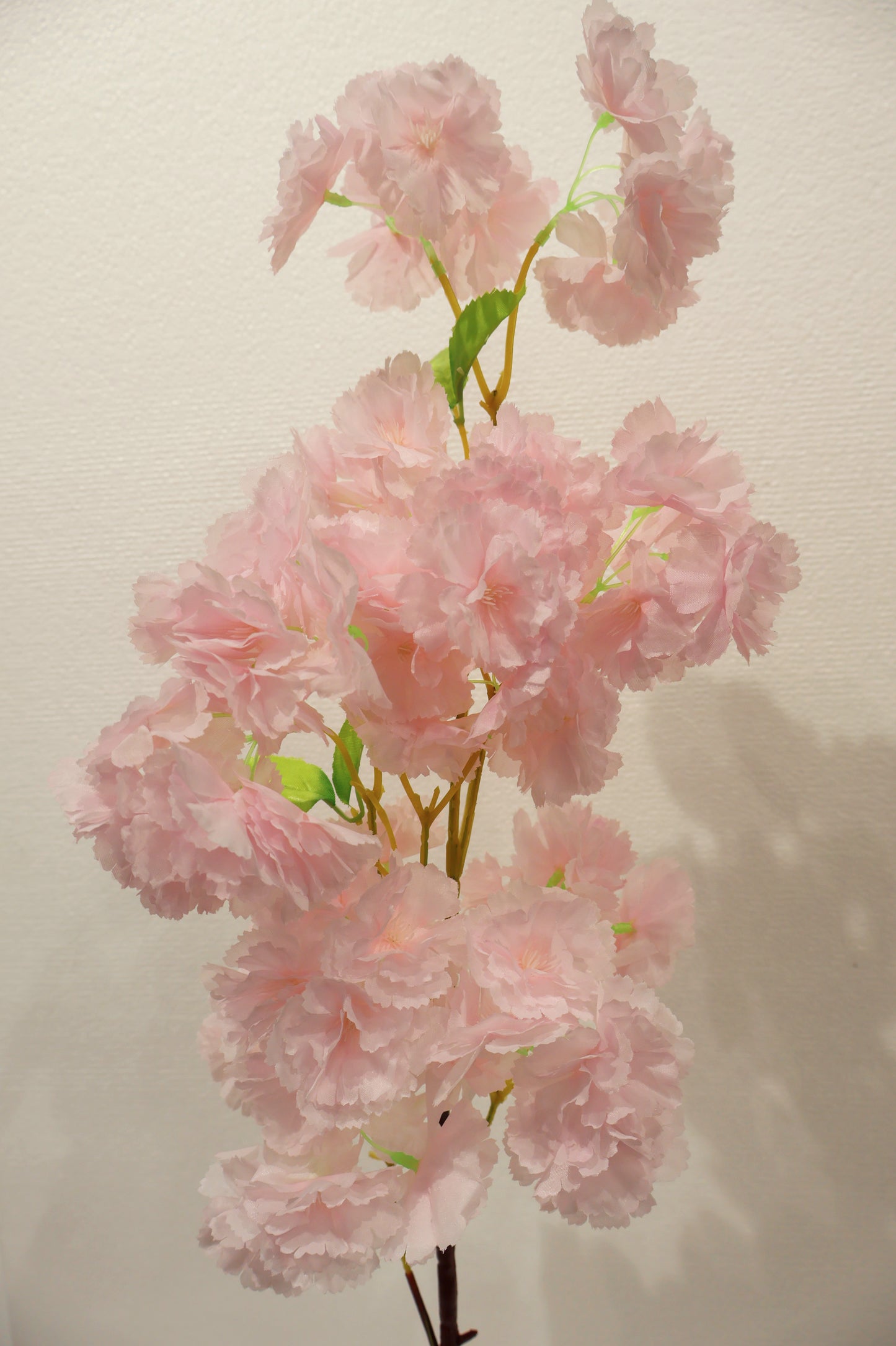 CHERRY BLOSSOM — 37.8" (96 cm)