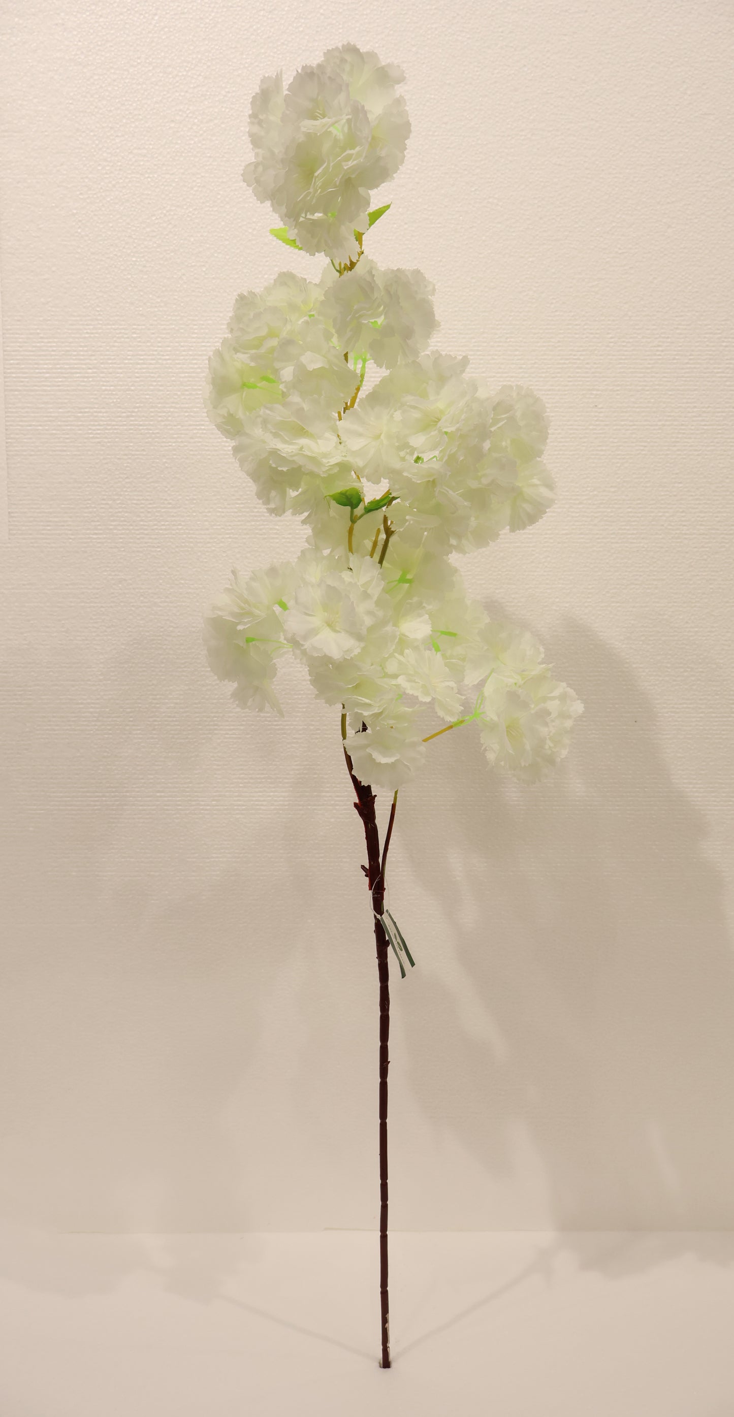 CHERRY BLOSSOM — 37.8" (96 cm)