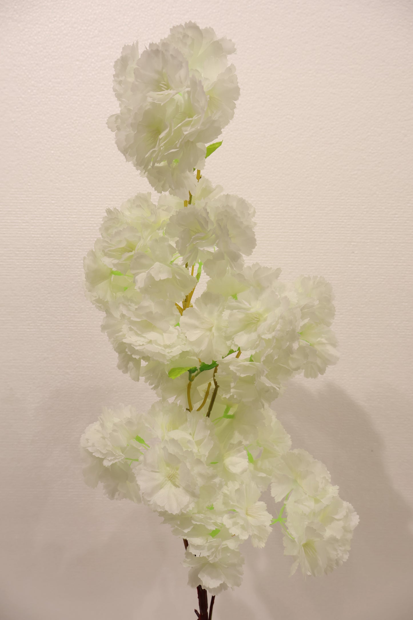 CHERRY BLOSSOM — 37.8" (96 cm)