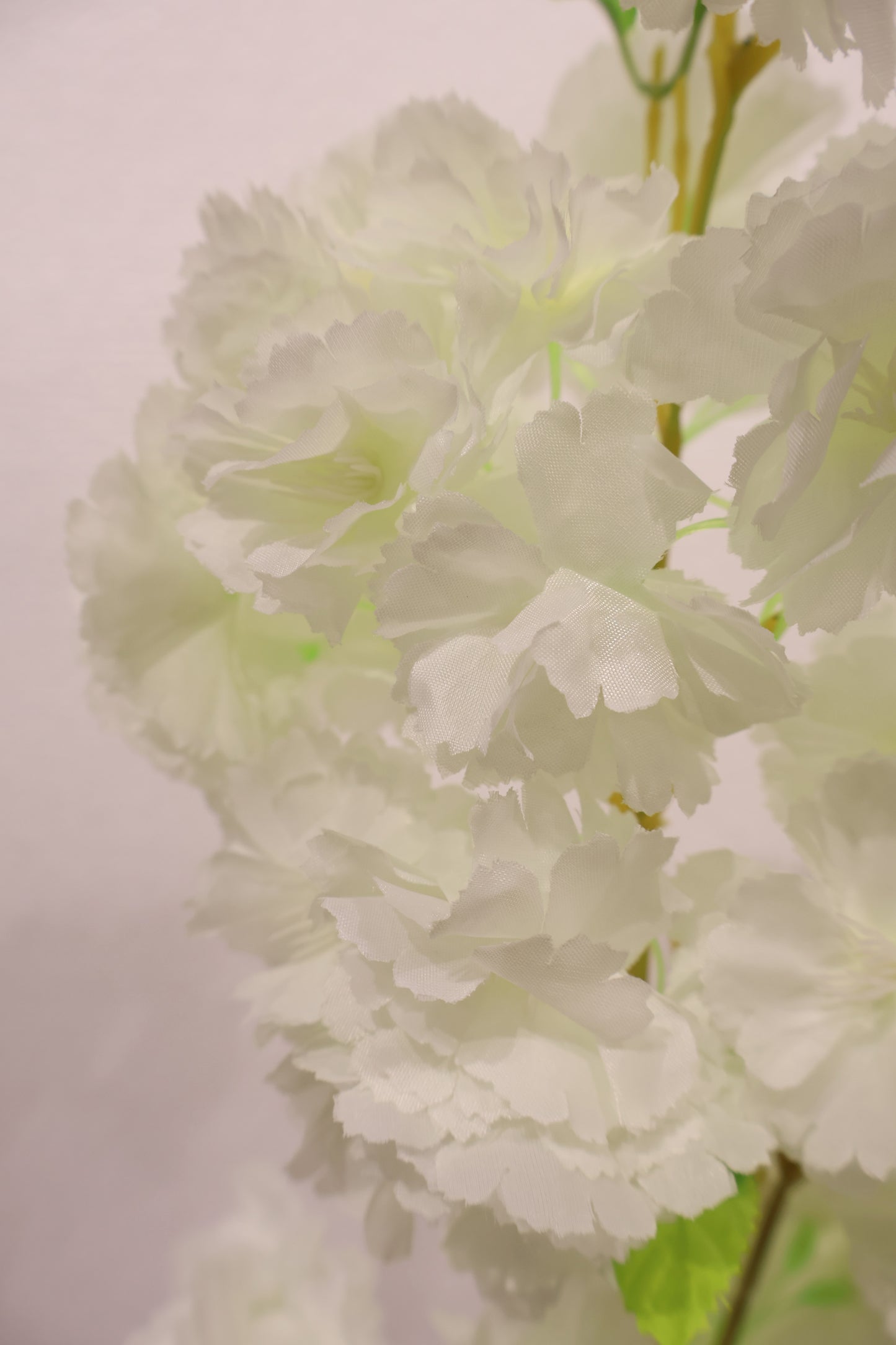CHERRY BLOSSOM — 37.8" (96 cm)