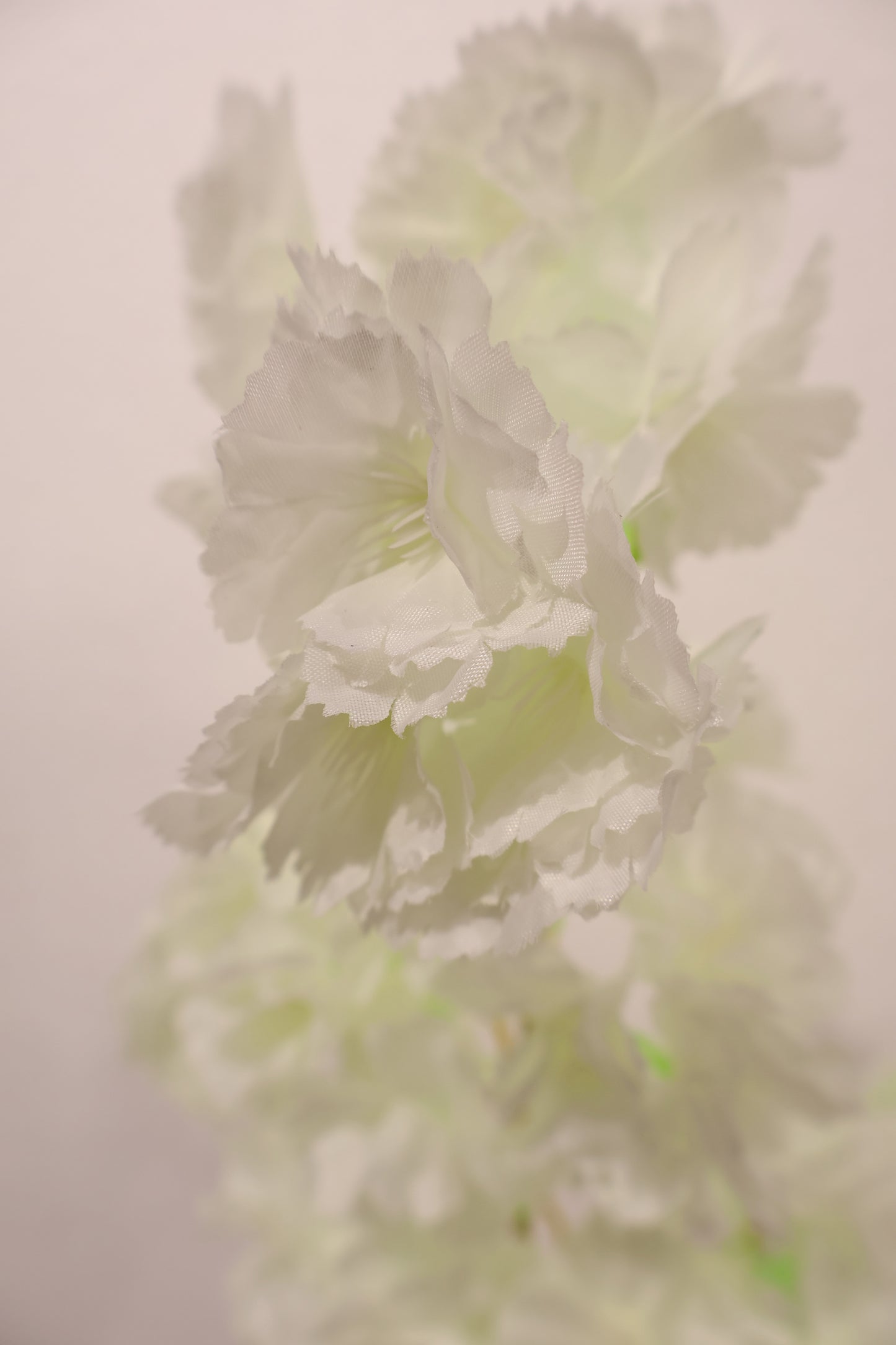 CHERRY BLOSSOM — 37.8" (96 cm)