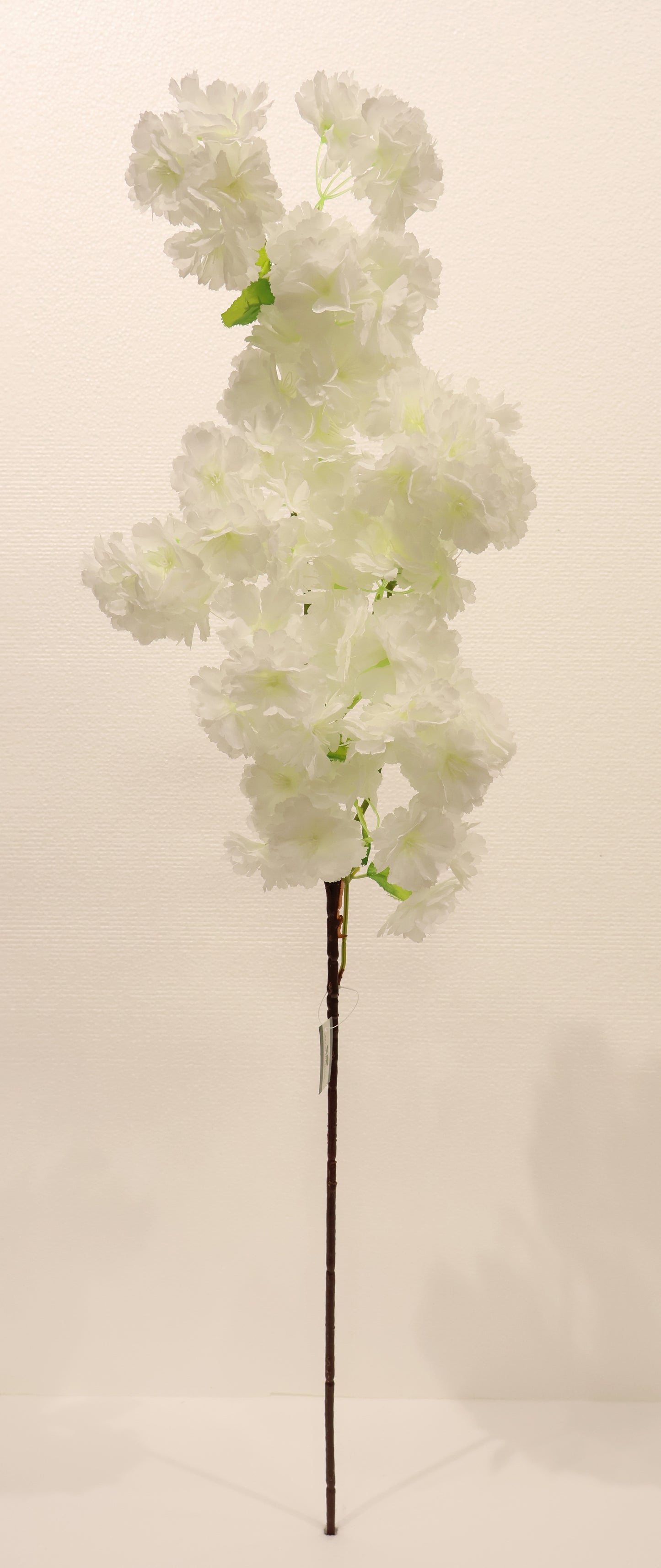 CHERRY BLOSSOM — 37.0" (94 cm)