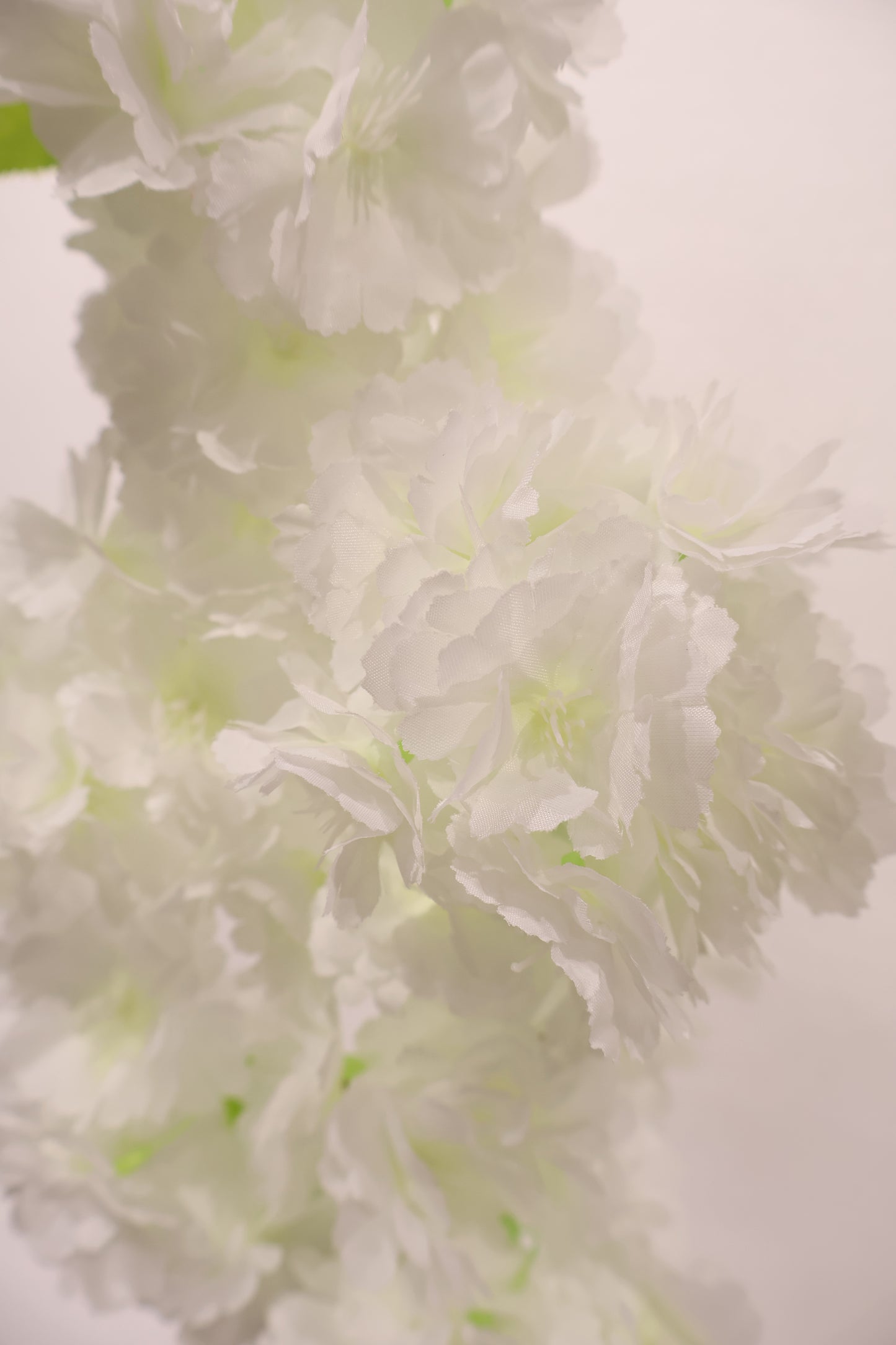 CHERRY BLOSSOM — 37.0" (94 cm)