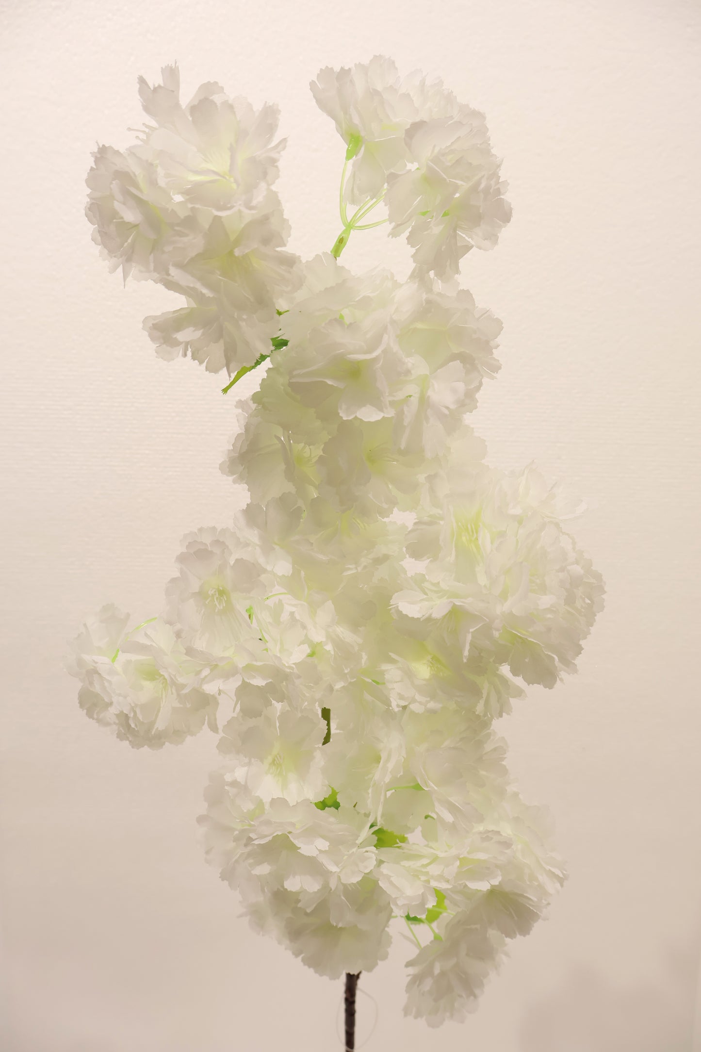 CHERRY BLOSSOM — 37.0" (94 cm)