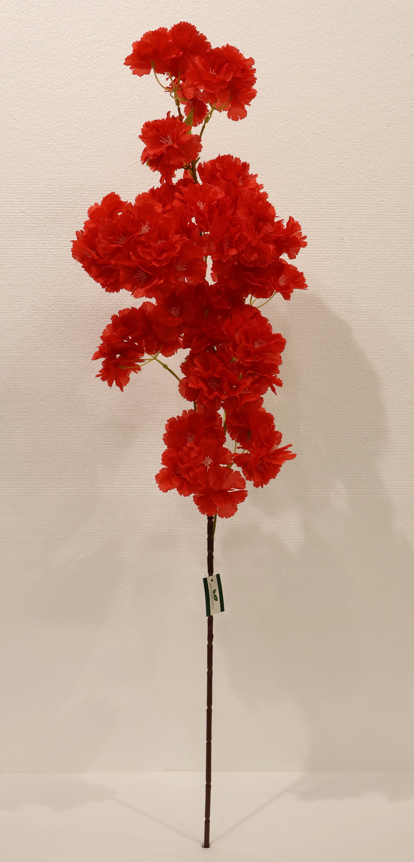 CHERRY BLOSSOM — 37.0" (94 cm)