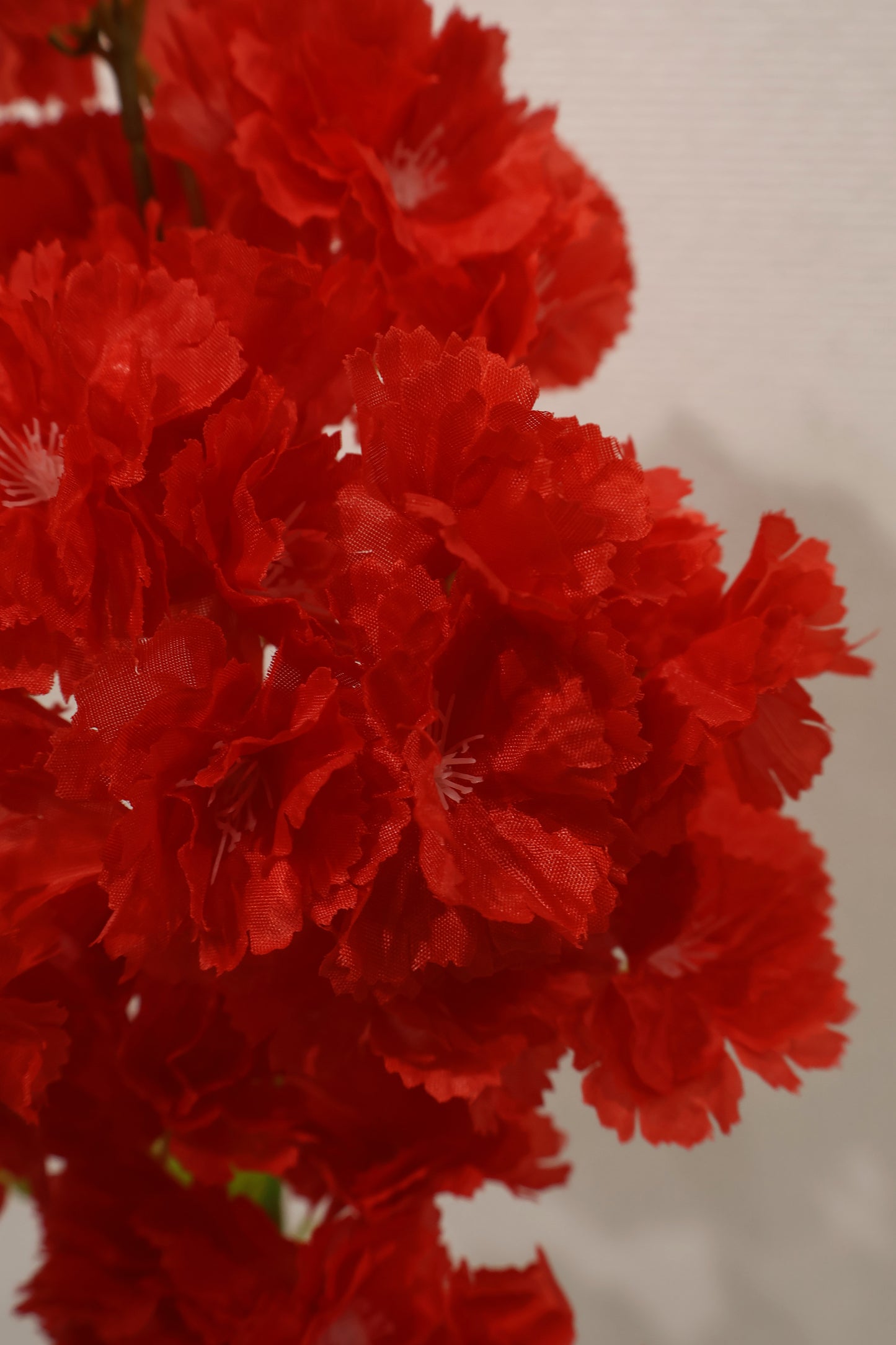 CHERRY BLOSSOM — 37.0" (94 cm)