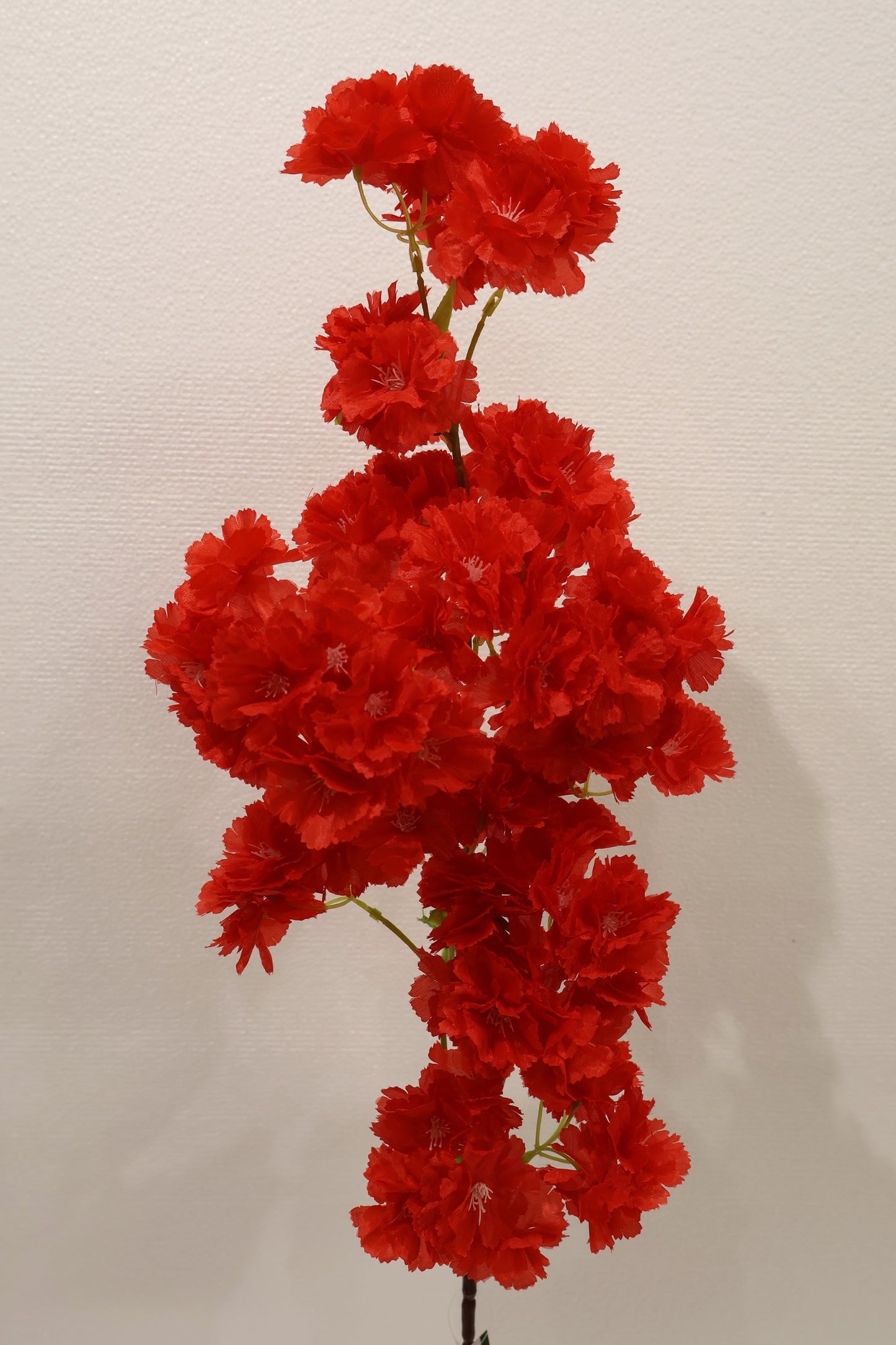 CHERRY BLOSSOM — 37.0" (94 cm)