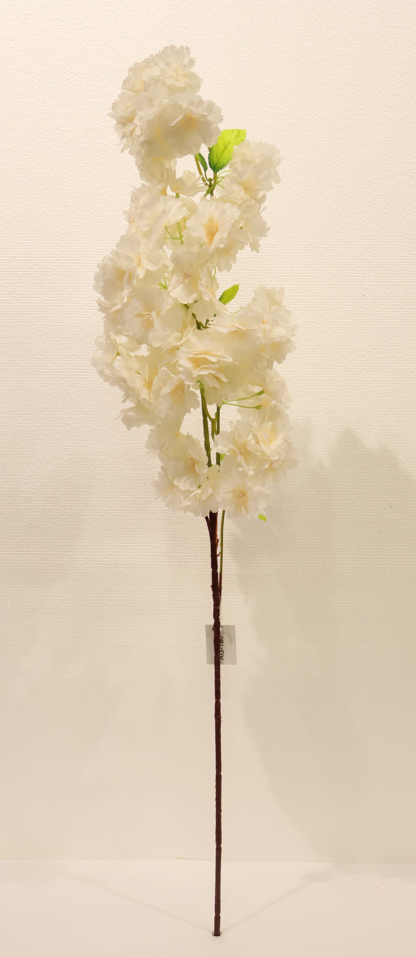 CHERRY BLOSSOM — 37.0" (94 cm)