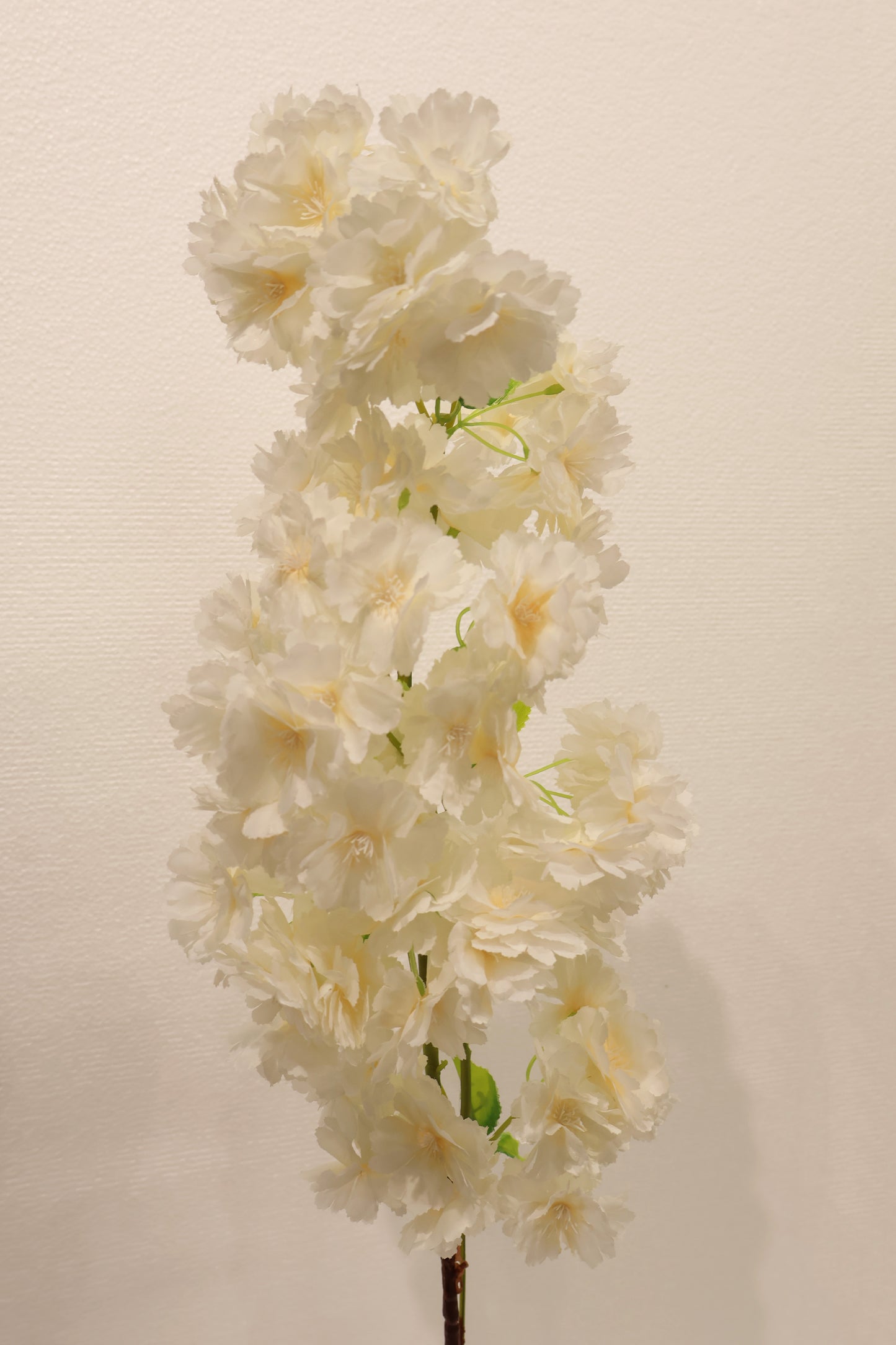 CHERRY BLOSSOM — 37.0" (94 cm)