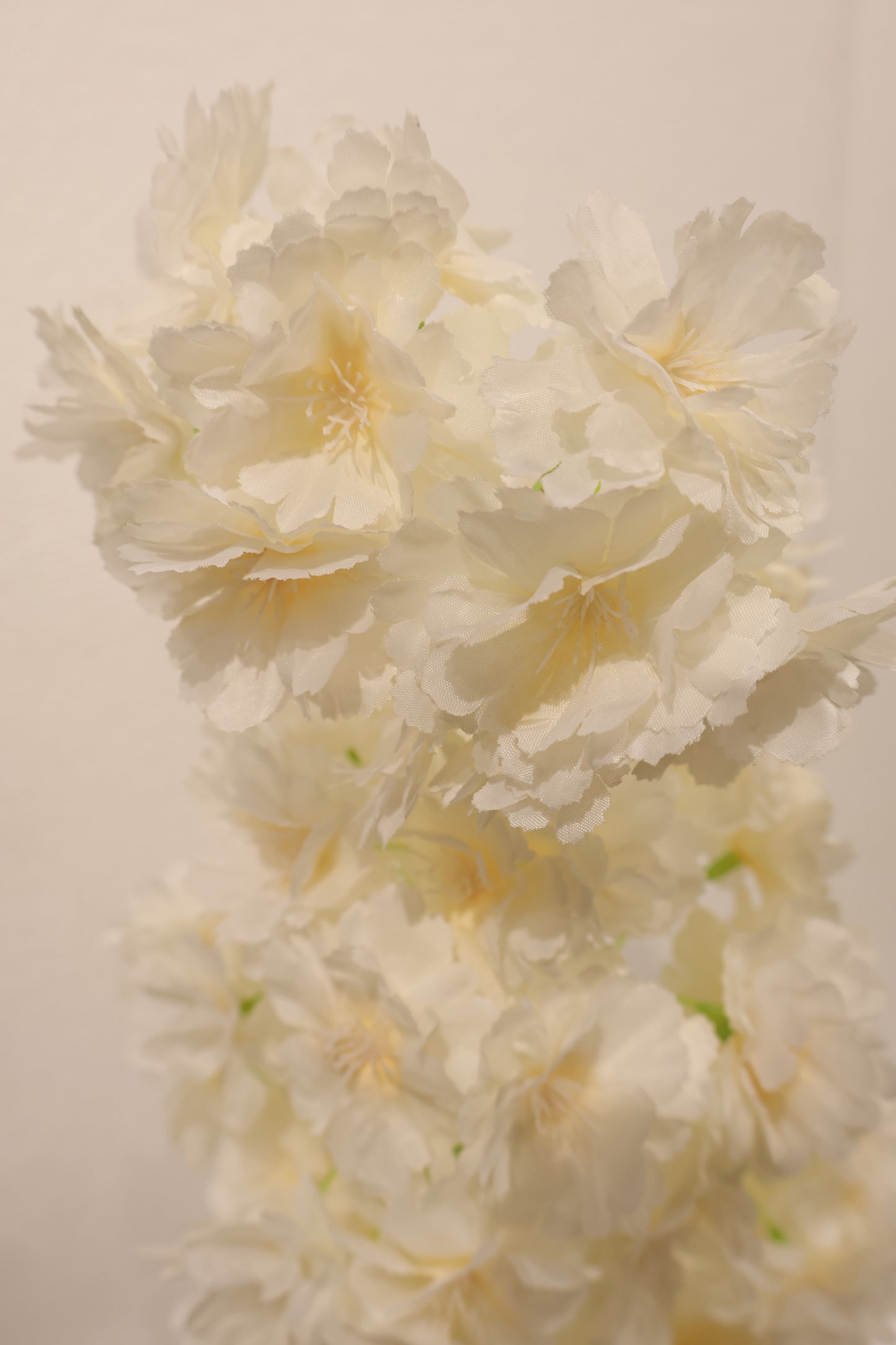CHERRY BLOSSOM — 37.0" (94 cm)